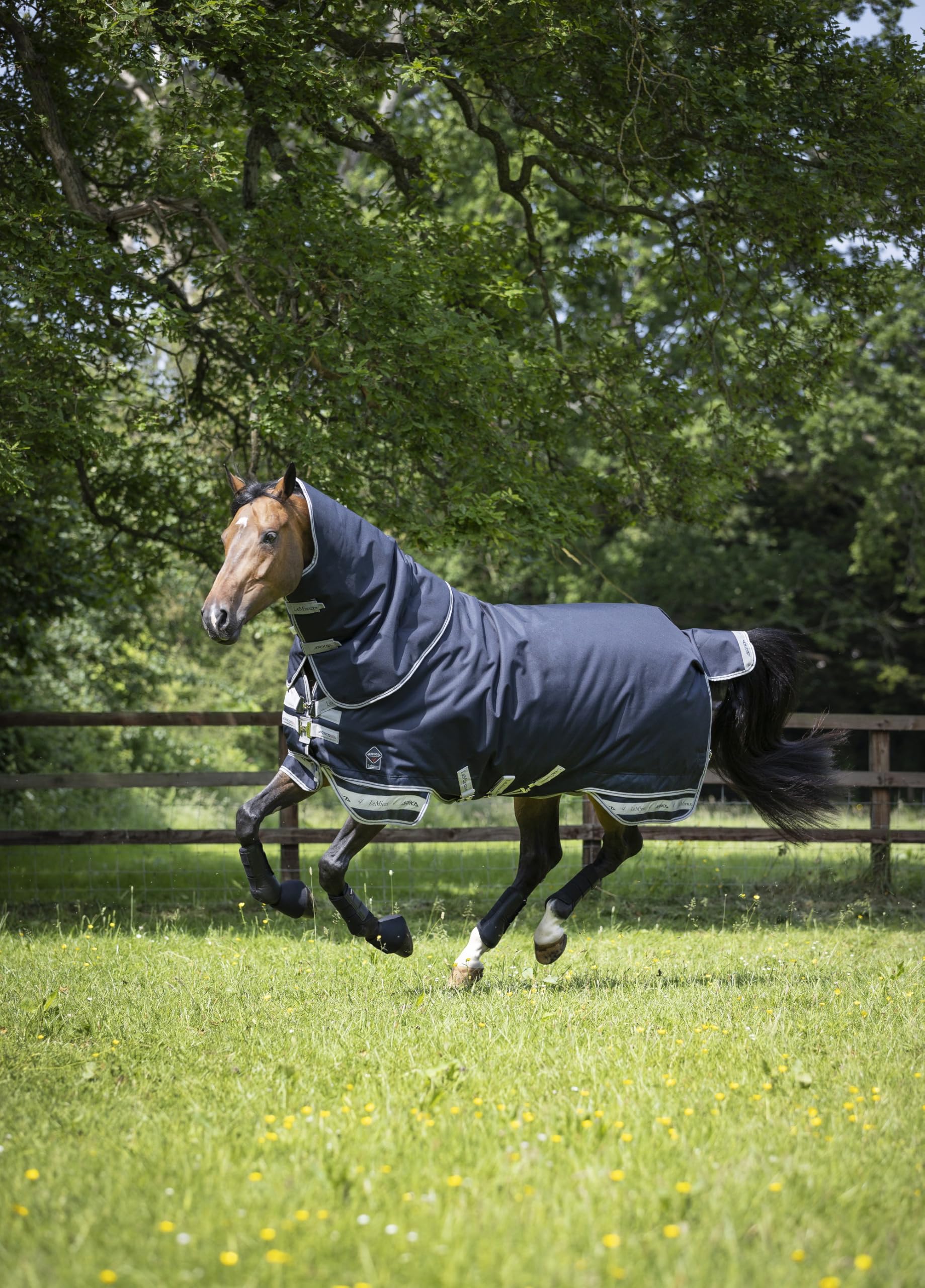LeMieux Arika Storm-Tek 200g Rug Plus Hood - HORSE WEAR from UK
