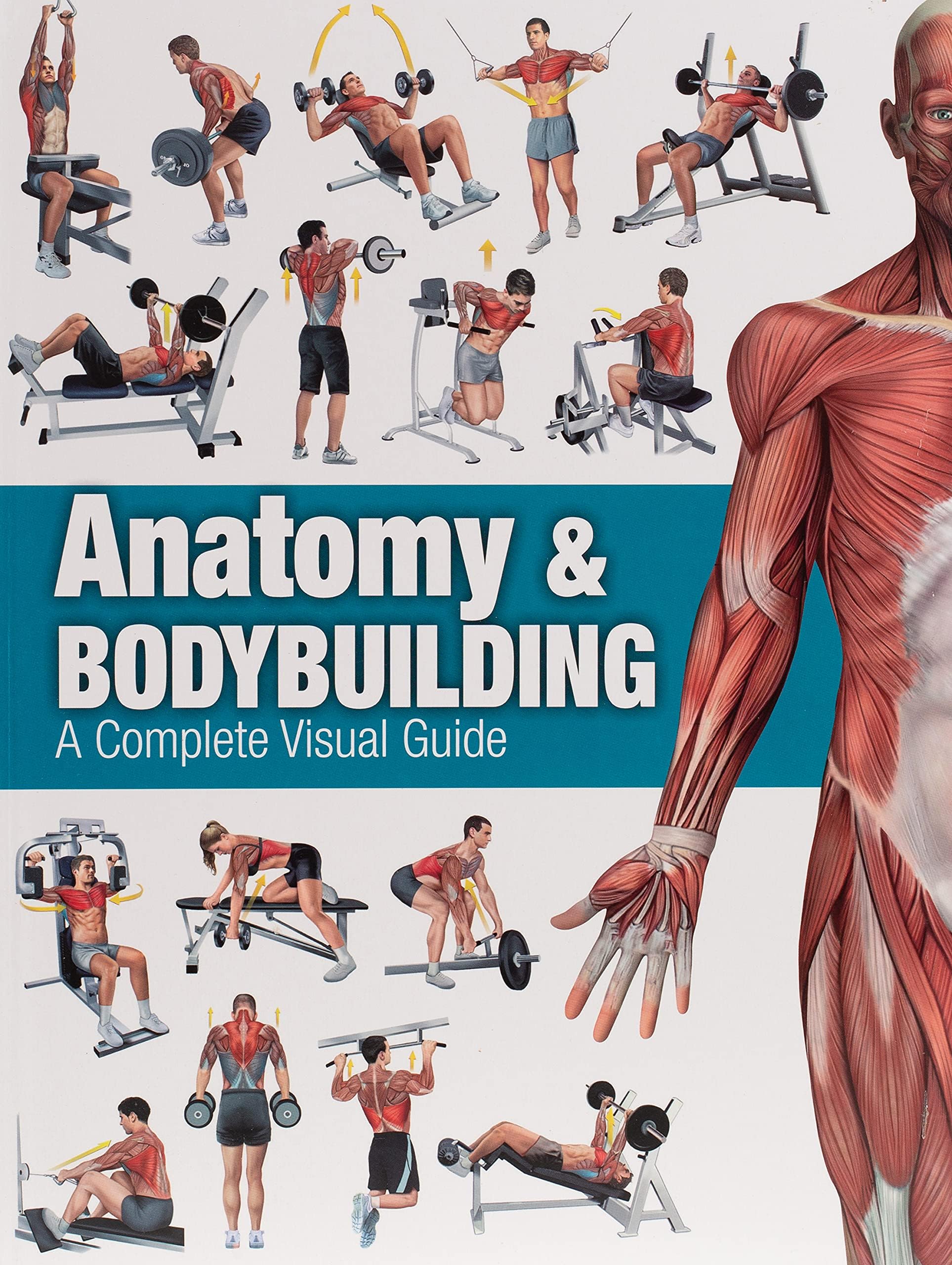 Anatomy & Bodybuilding: A Complete Visual Guide Paperback – 1 January 2015