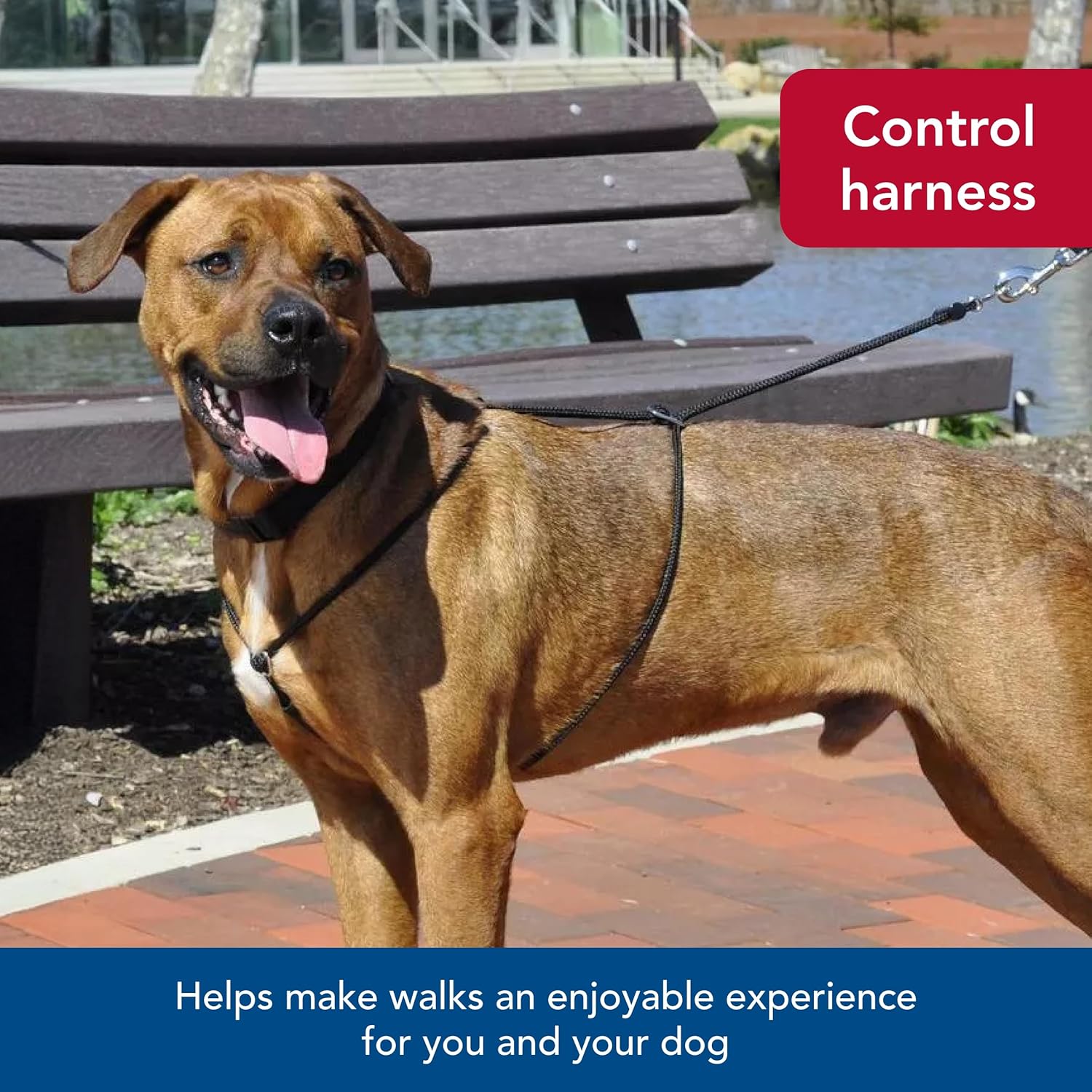 Coastal Pet Holt Adjustable Dog Control Harness - Big & Small Dog Harness - Walking Harness for Dogs - Instructions Included - Top-Grade Pet Supplies for Dogs - Black, Large (26")