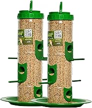 SpikeZone - Bird Feeder Hanging Grill, Bird Feeder for Balcony, Outdoor Bird Feeder (Green, Transparent Pack of 2 Pcs)
