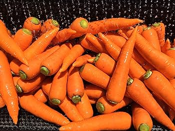 Amazon.co.jp: 【クール便発送】にんじん10kg 農薬不使用・化学