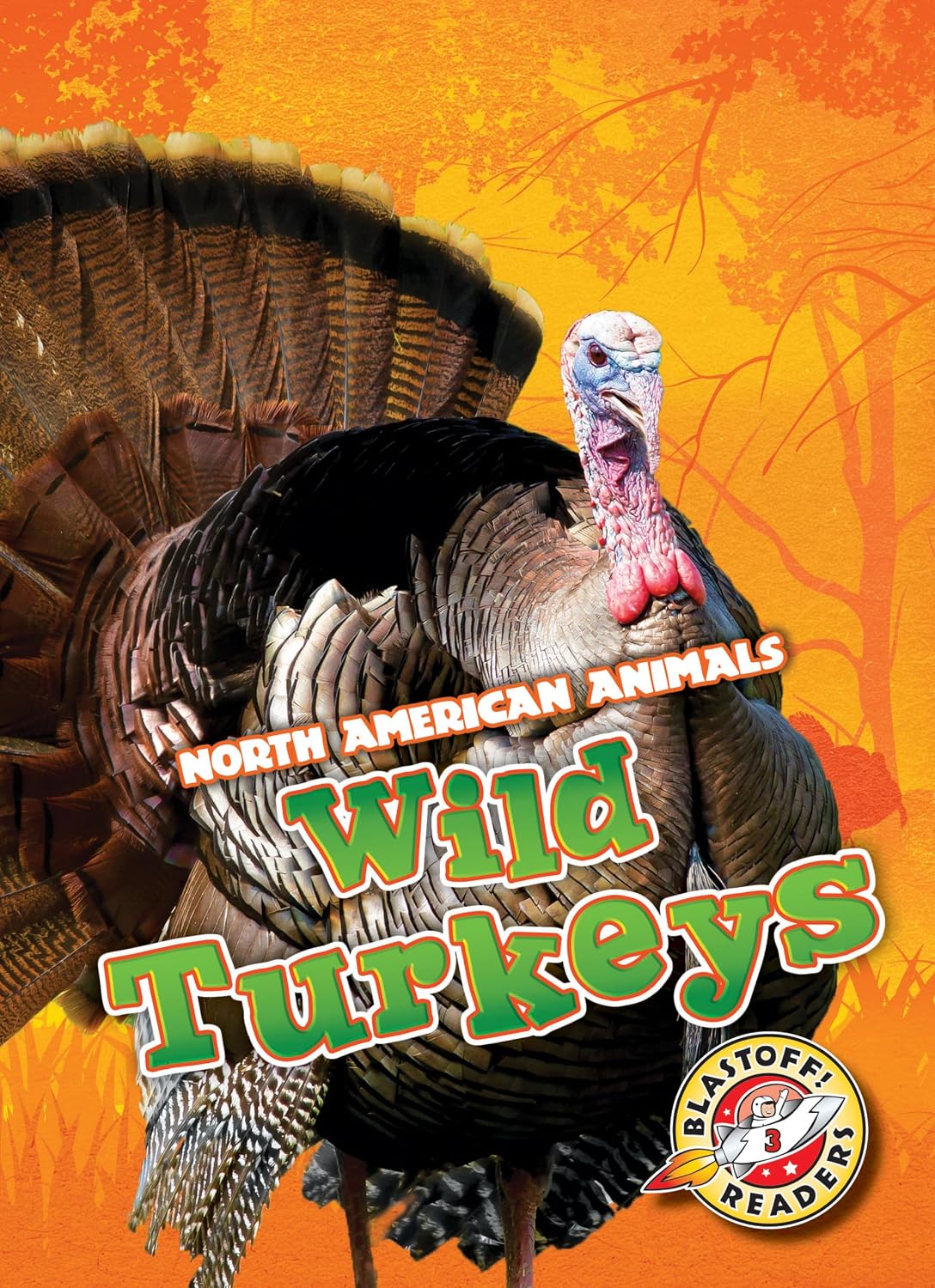 WIld Turkeys (North American Animals)