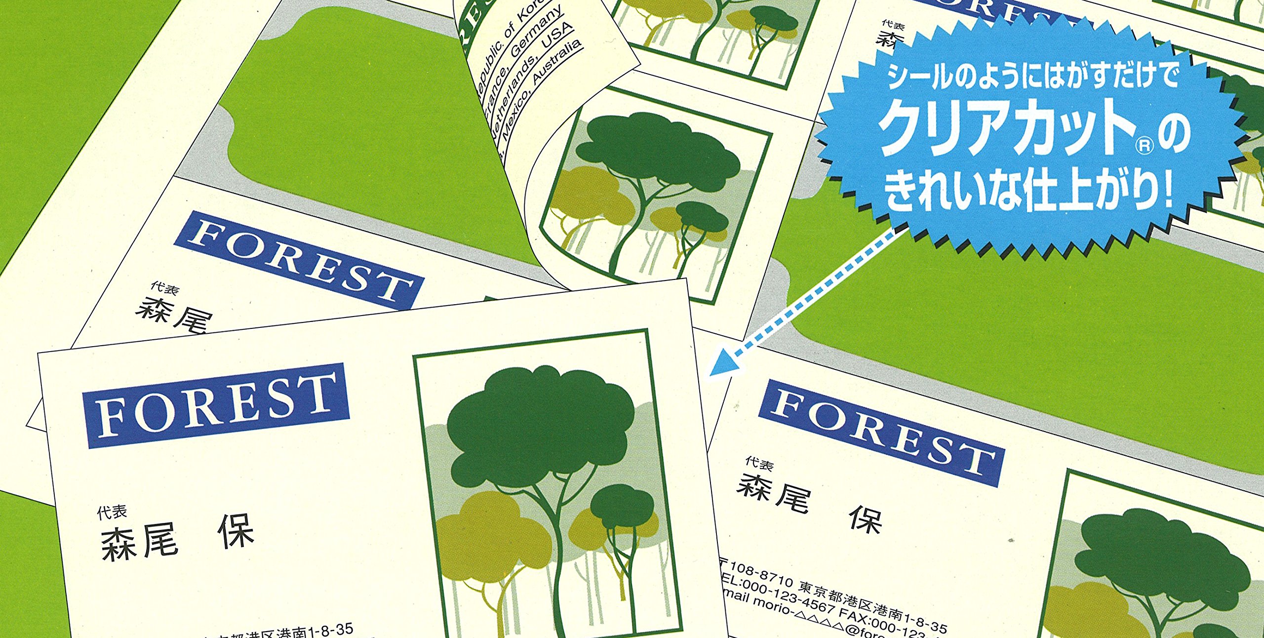 100 St?ck von LBP-VCS15 A4 10 Gesicht Kokuyo Farblaser-und Farbkopier Visitenkarte Karte eindeutig doppelseitigen Druck, Recycling-Papier (Japan-Import)