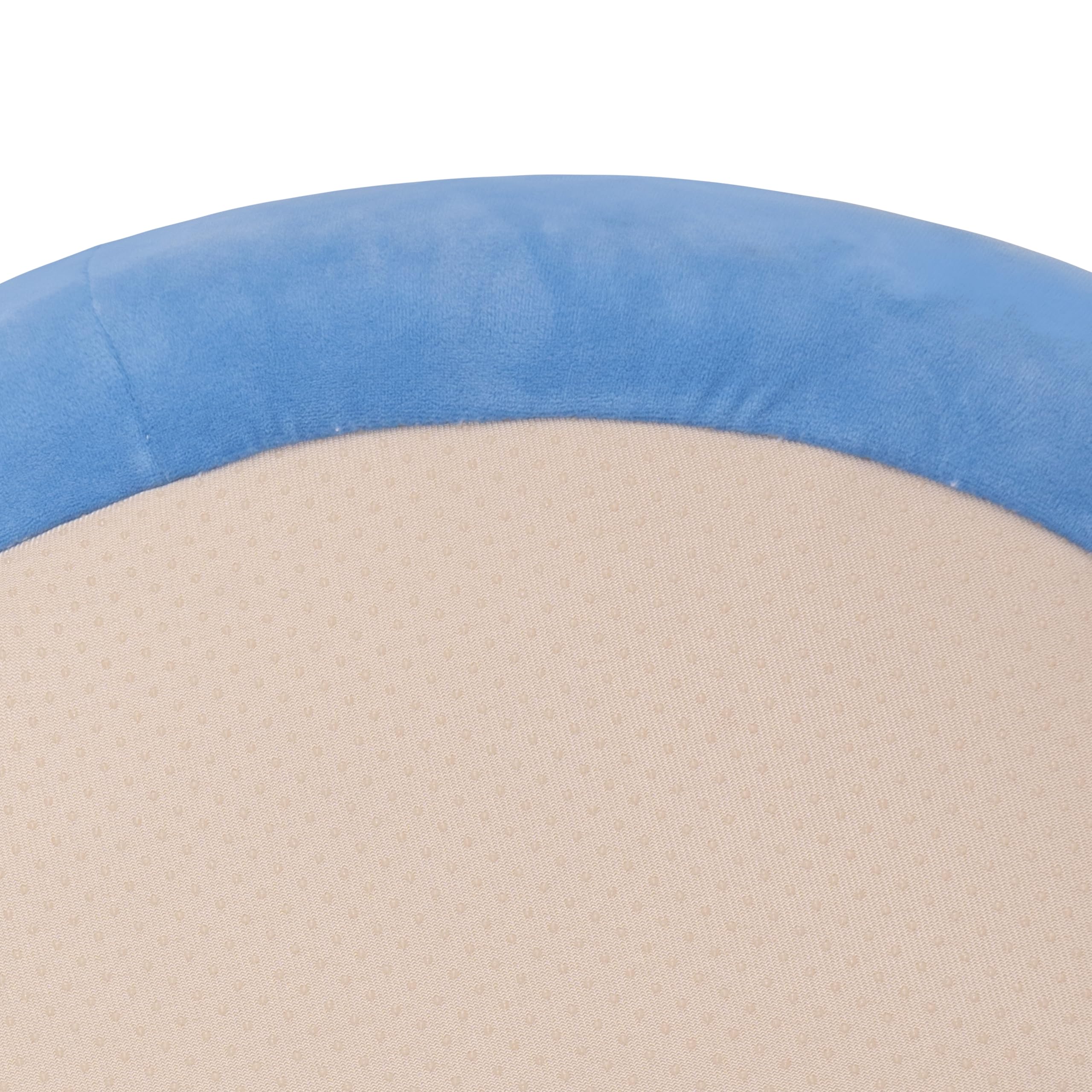Disney Stitch - Cama para Mascotas con diseño de Personajes e Inserto extraíble Lavable a máquina, Cama Mediana para Mascotas