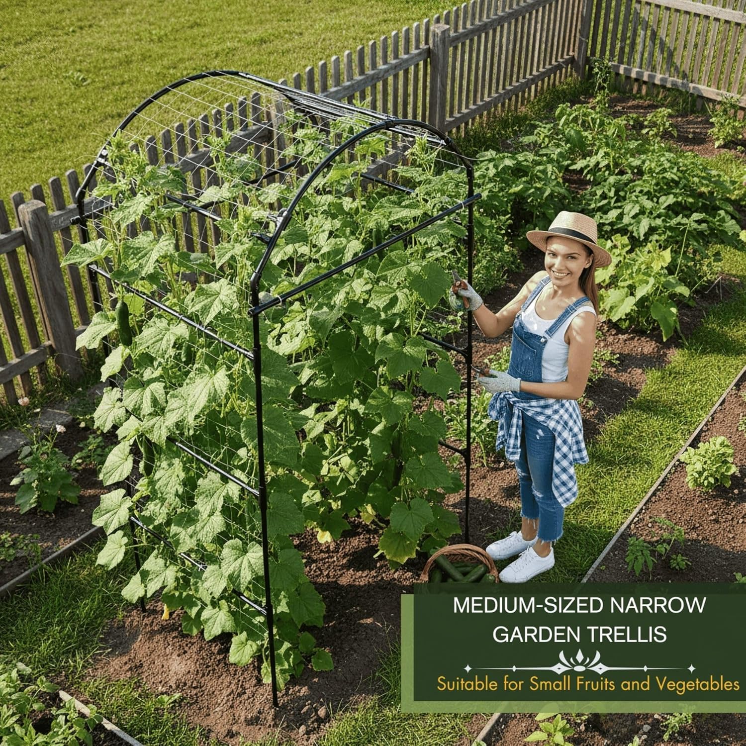 79" garden trellis arch for climbing plants – tall outdoor metal trellis for vegetables, peas, tomatoes,? cucumber trellis arch & vertical garden climber plant support for vine plants black 33"l x 33"w x 79"h