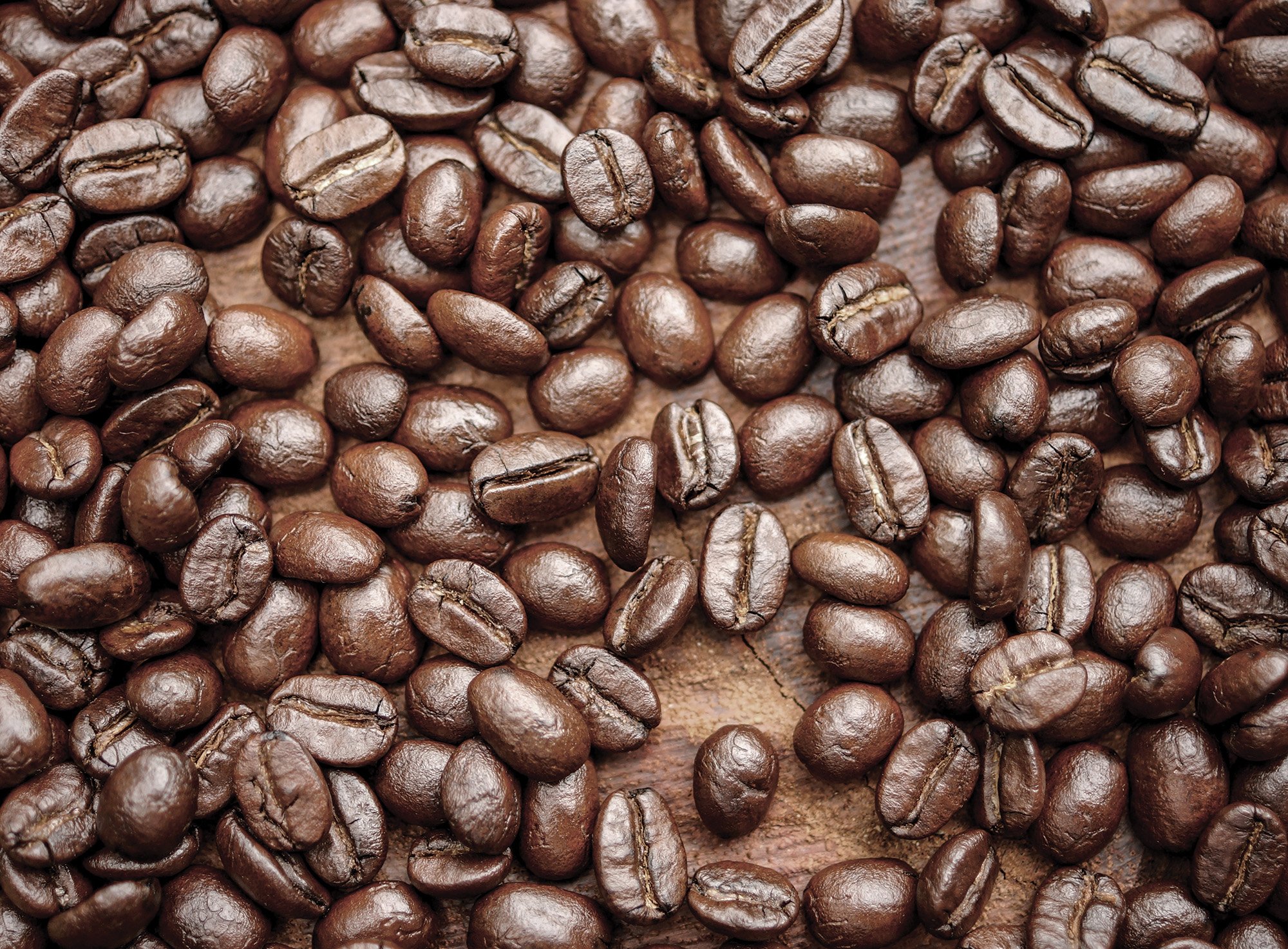 1Wall Café Coffee Bean Wallpaper Wall Mural, Wood, Brown, 3.15 x 2.32 m