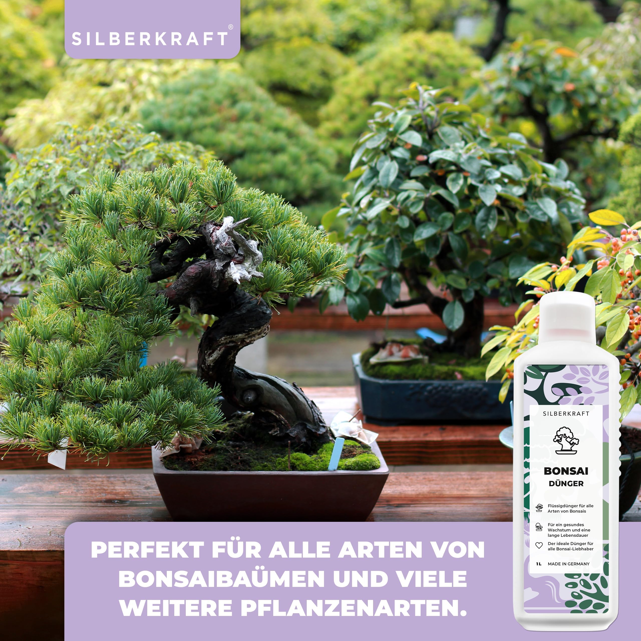 Bonsaidnger - Mineralischer NPK Flssigdnger mit Stickstoff - Dnger fr  Bonsai - Bonsai Ficus Dnger : Amazon.de: Garten