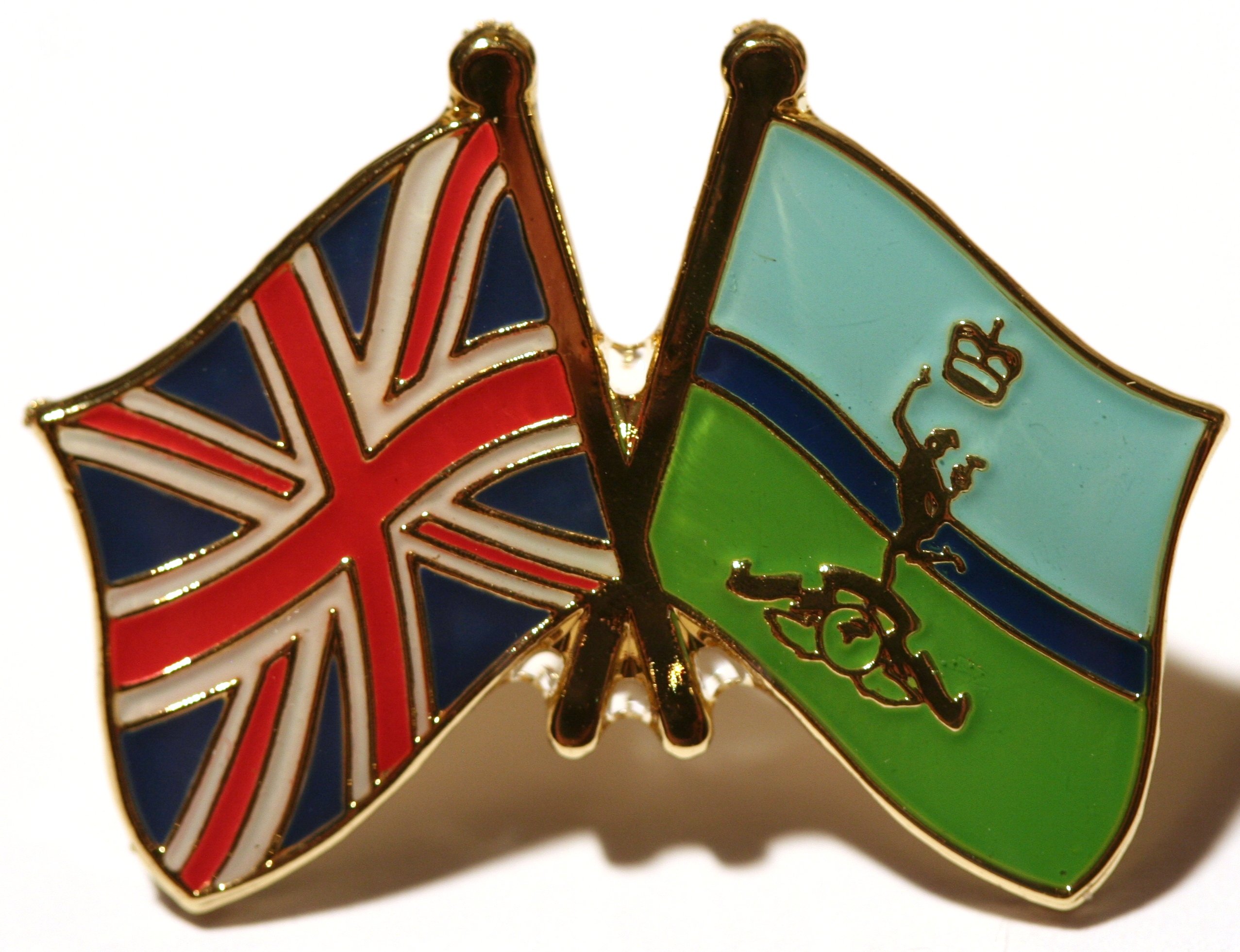 UK & Royal Signals Friendship Flag Pin Badge