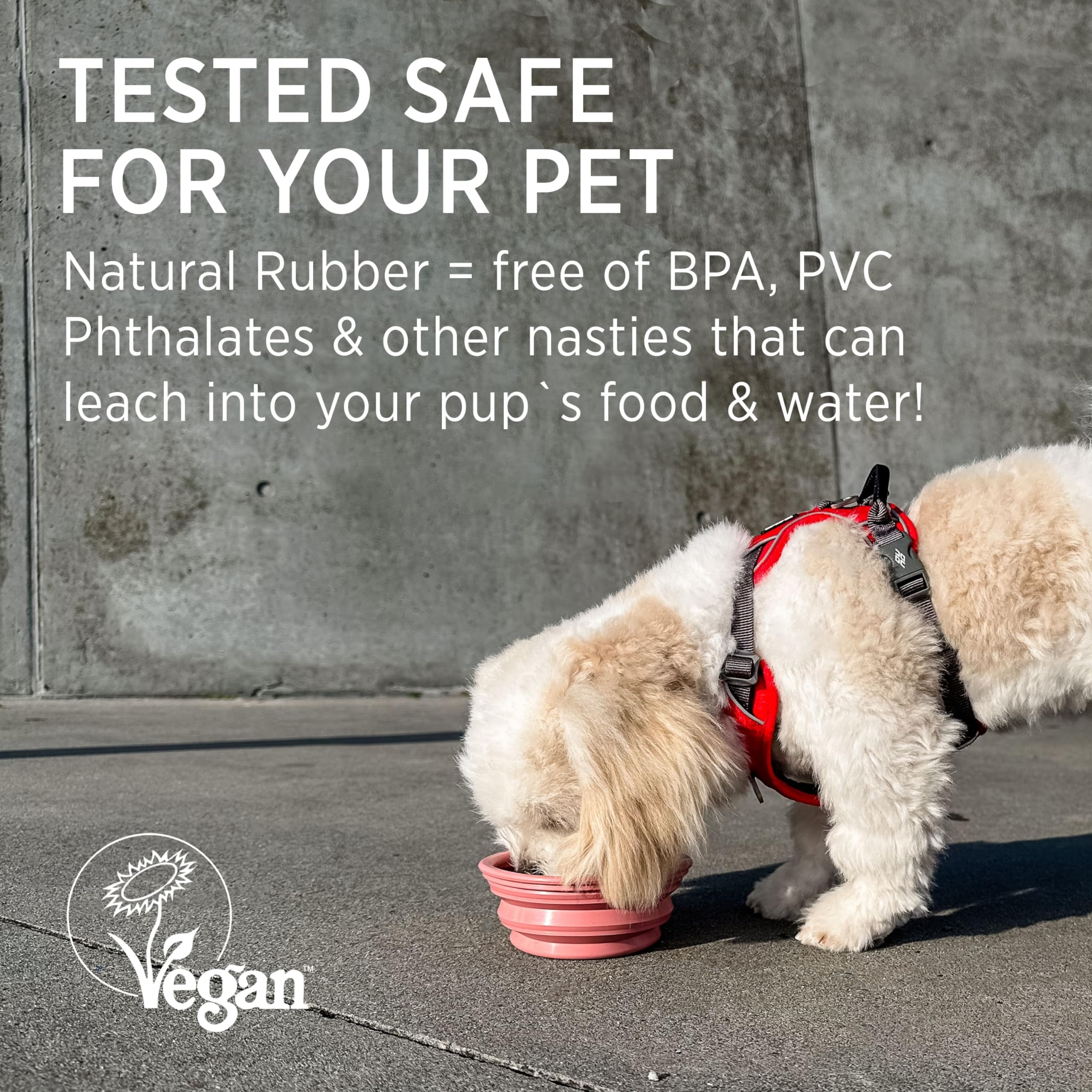 Hevea Collapsible Dog Bowl On The Go - Made from 100% Natural Rubber - Ultra Portable Pocket Sized Water Travel Dog Bowl - Tested and Safe for Your Dog (Hunter Green)