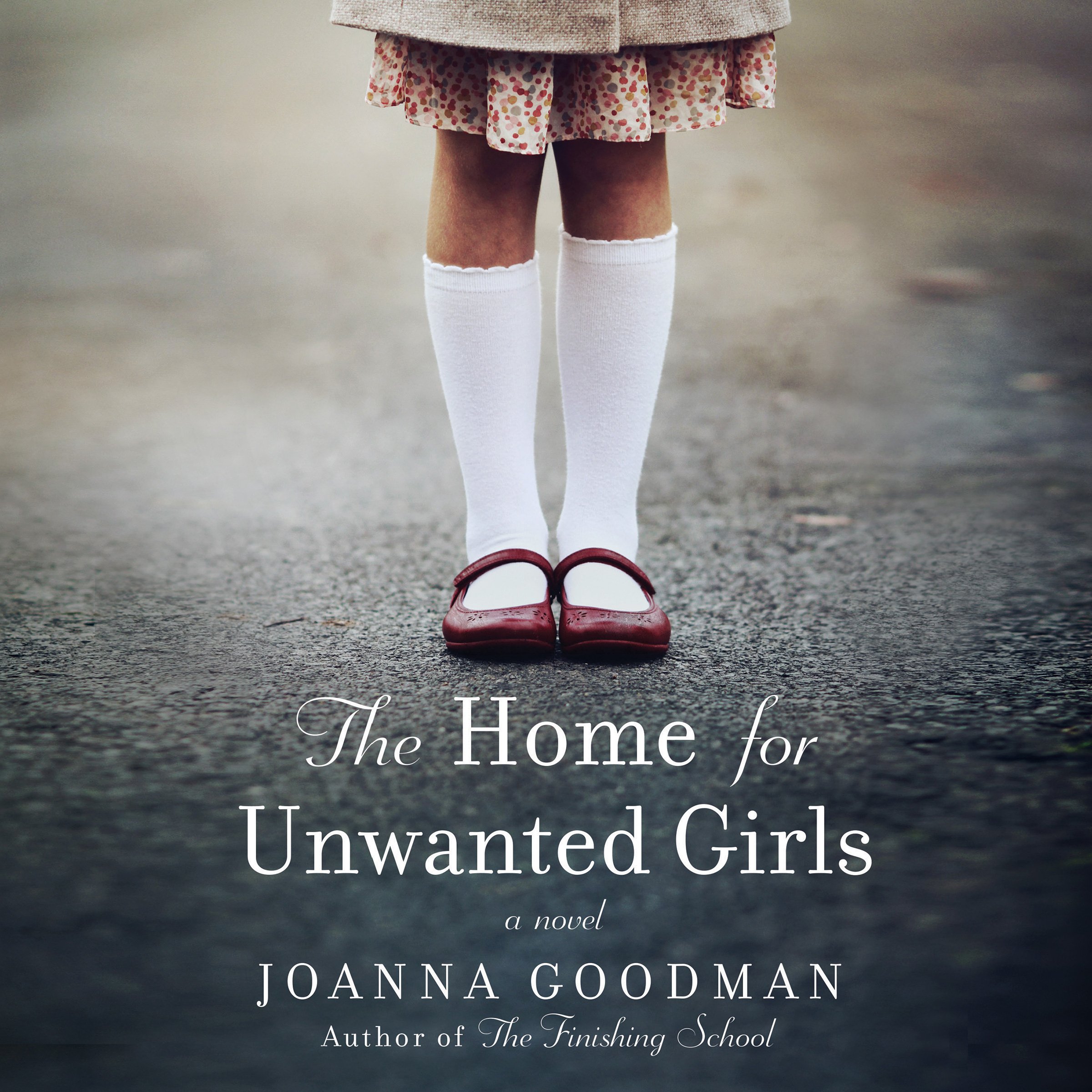 Cover art for The Home for Unwanted Girls