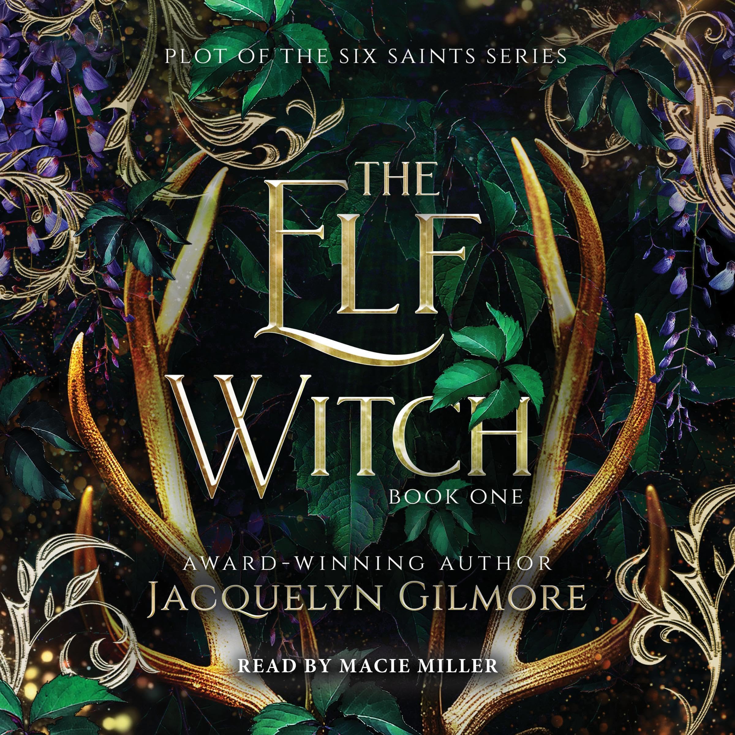 Cover art for The Elf Witch