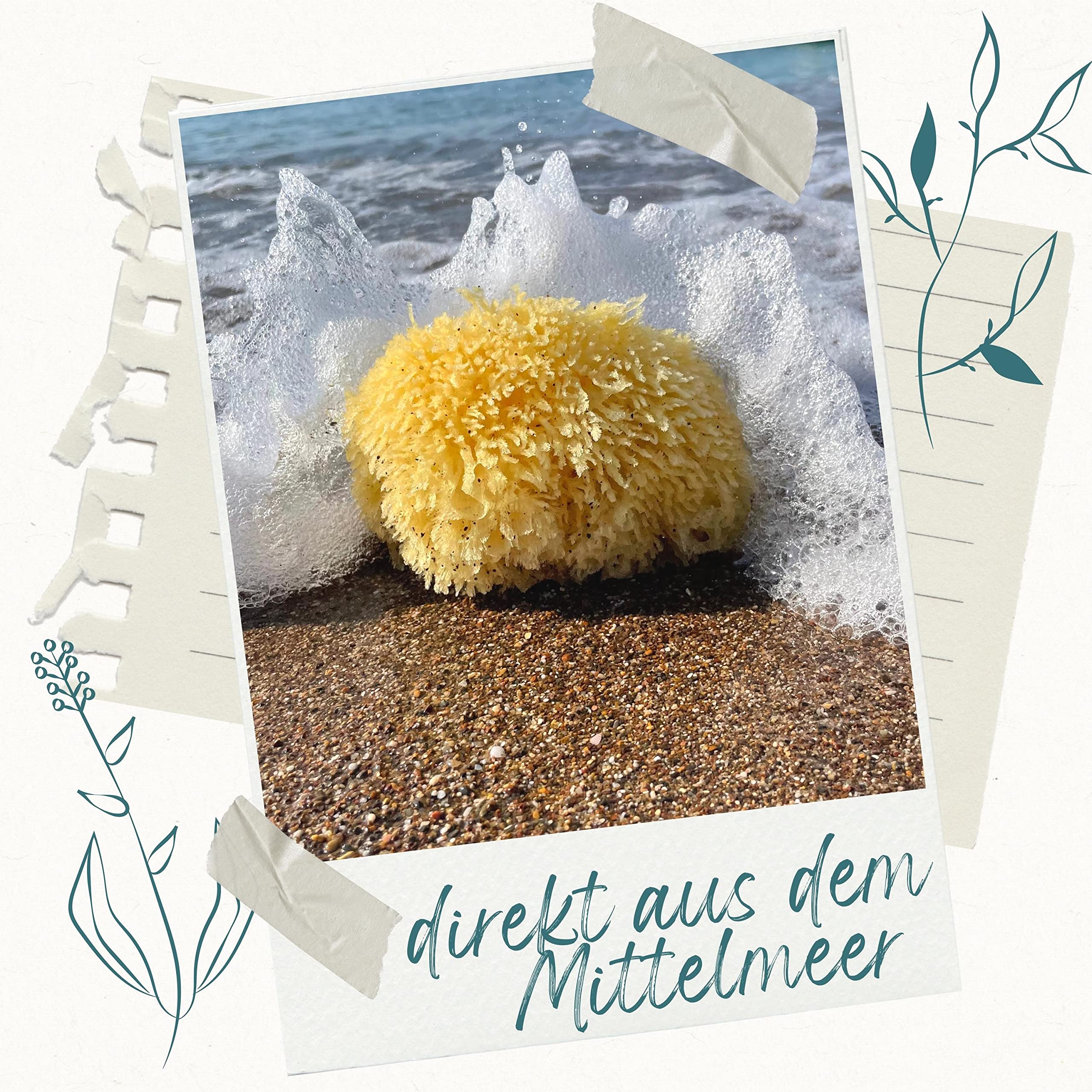 tom&pat® Naturschwamm Grass • für extra viel Schaum • Badeschwamm oder Duschschwamm • Dermatest sehr gut • für sensible Haut & Babys • Premium-Qualität Griechenland (17-18 cm)