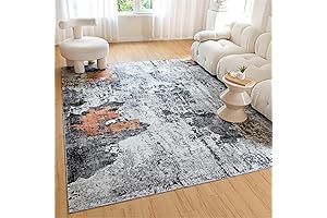 5'x7' Area Rug: OIGAE Washable Abstract Modern Non-Shedding Carpet for Home Decor