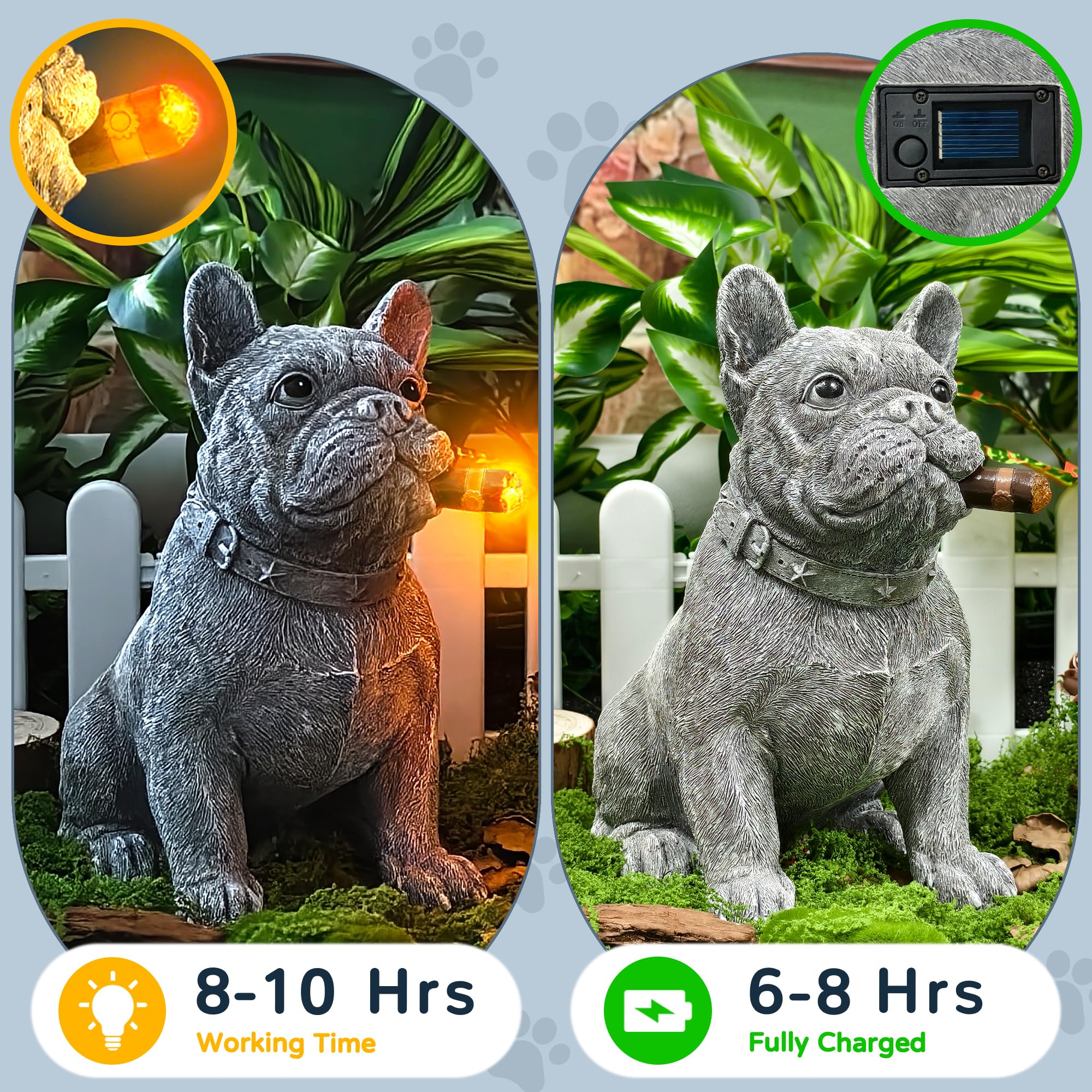 Vue 6