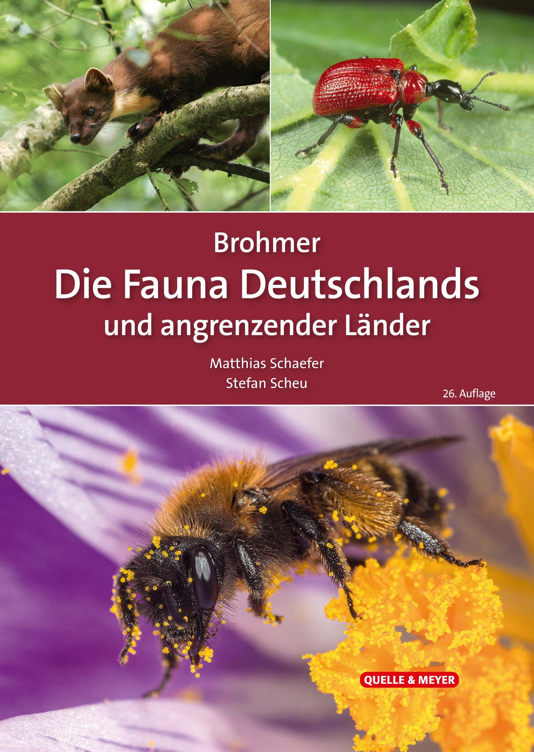 Brohmer – Die Fauna Deutschlands und angrenzender Länder: Ein Bestimmungsbuch unserer heimischen Tierwelt (Quelle & Meyer Bestimmungsbücher)