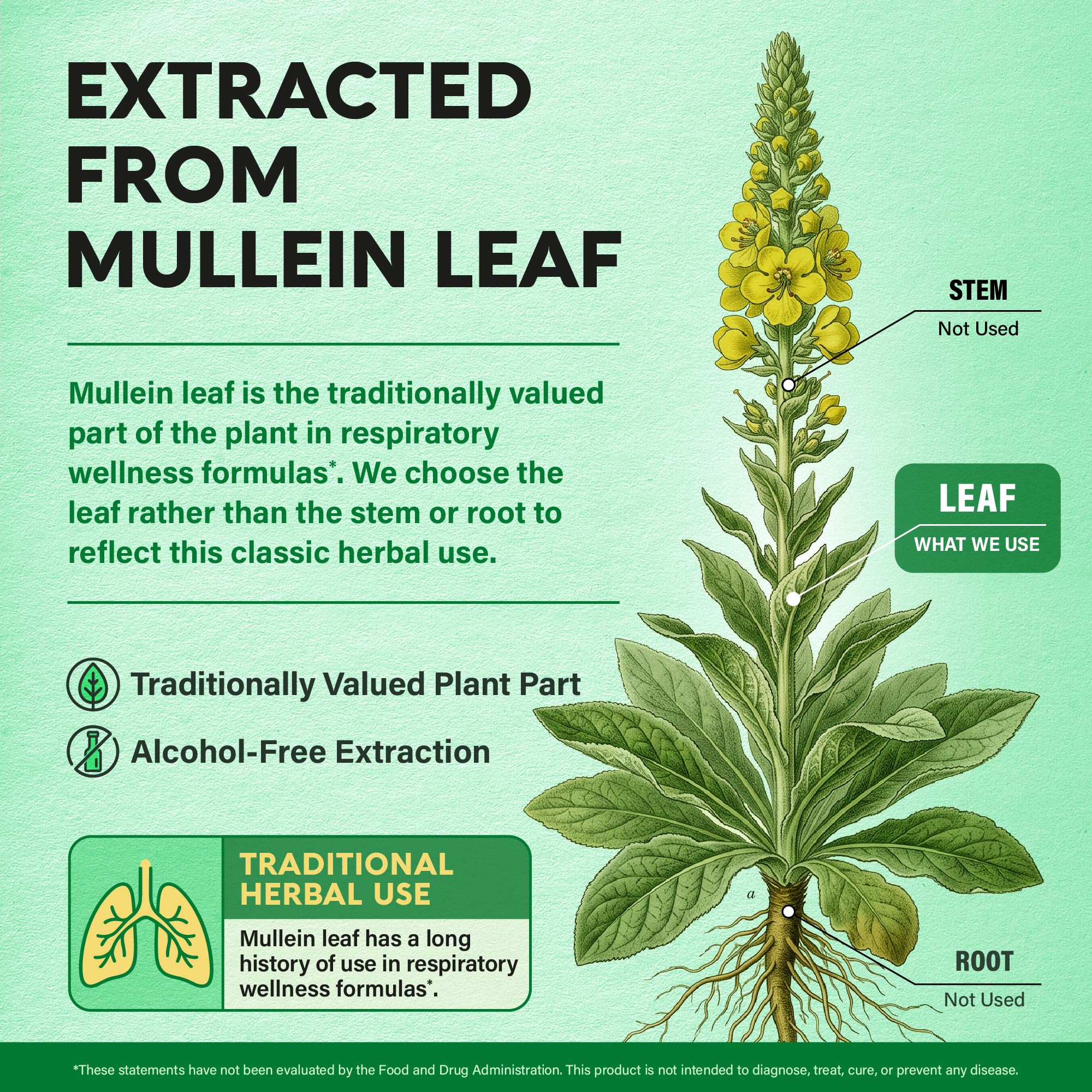 Mullein Lung Detox - Mullein Leaf 10:1 Extract Supplement - 60 Vegan Caps — Amazon image 8