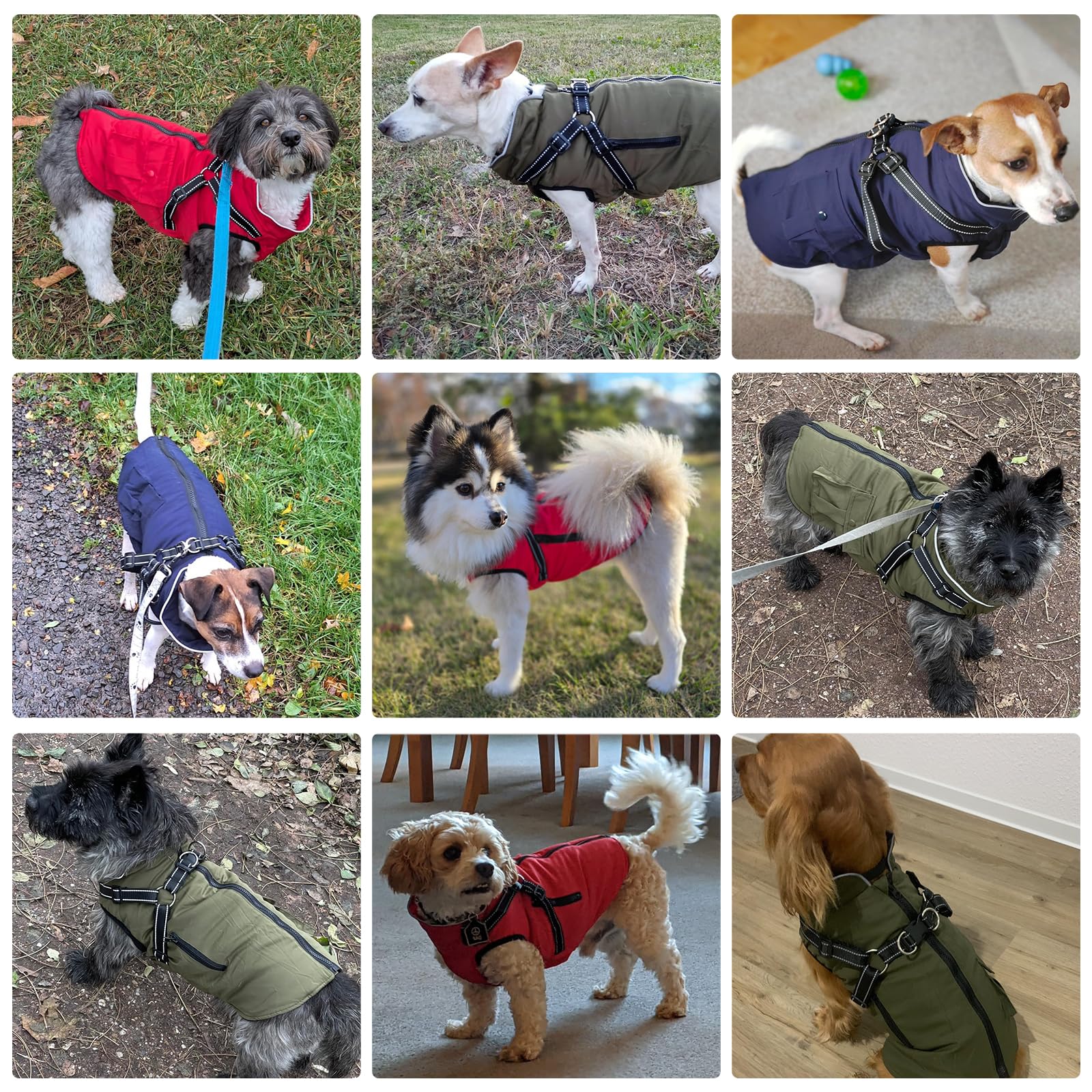 Giacca invernale per cani di taglia grande, impermeabile, con imbracatura e cerniera, facile da indossare