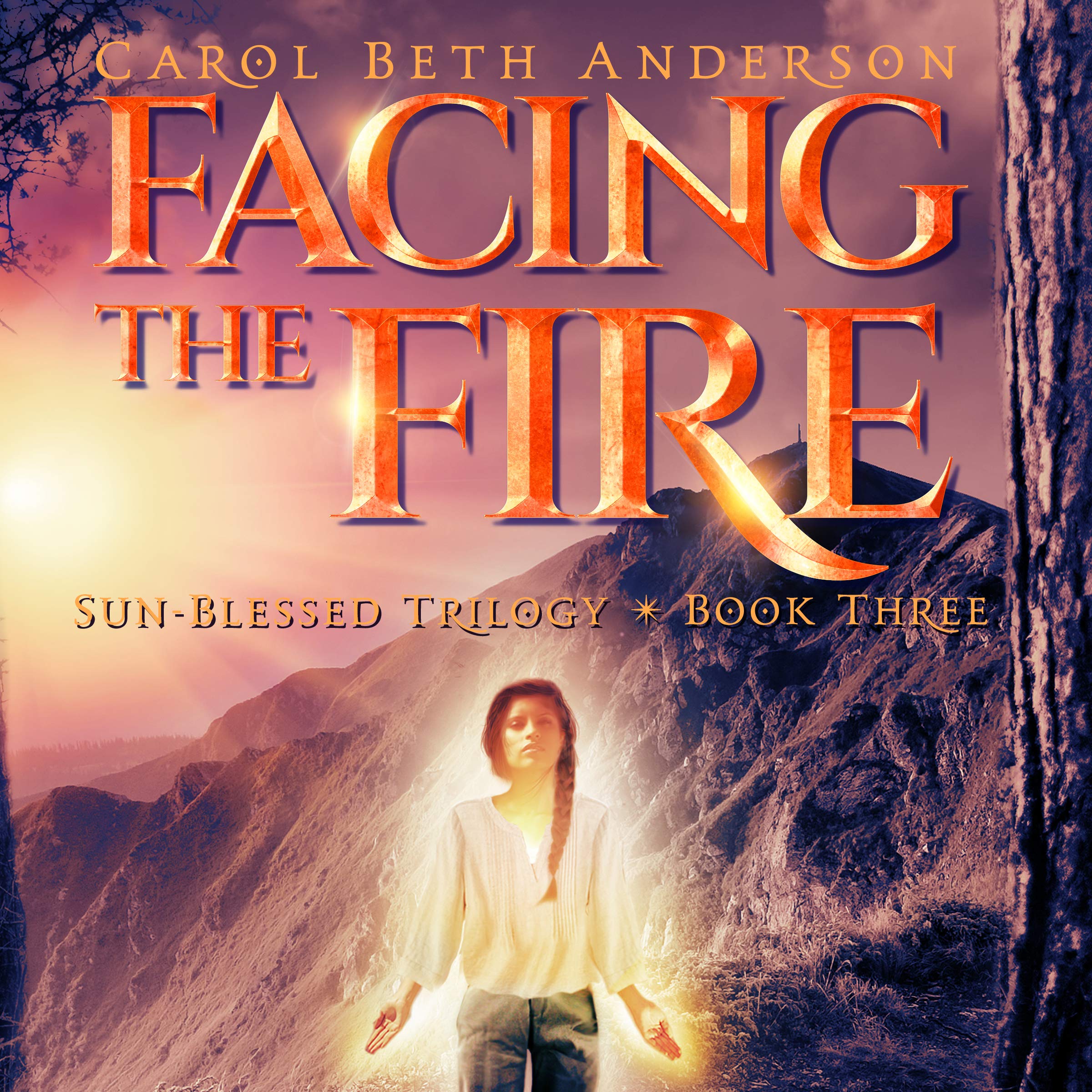 Cover art for Facing the Fire