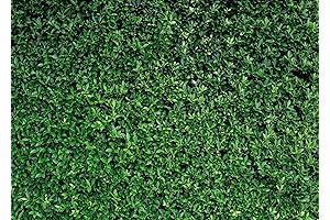 Green Leaves Photography Backdrop Greenery Background for Birthday Parties