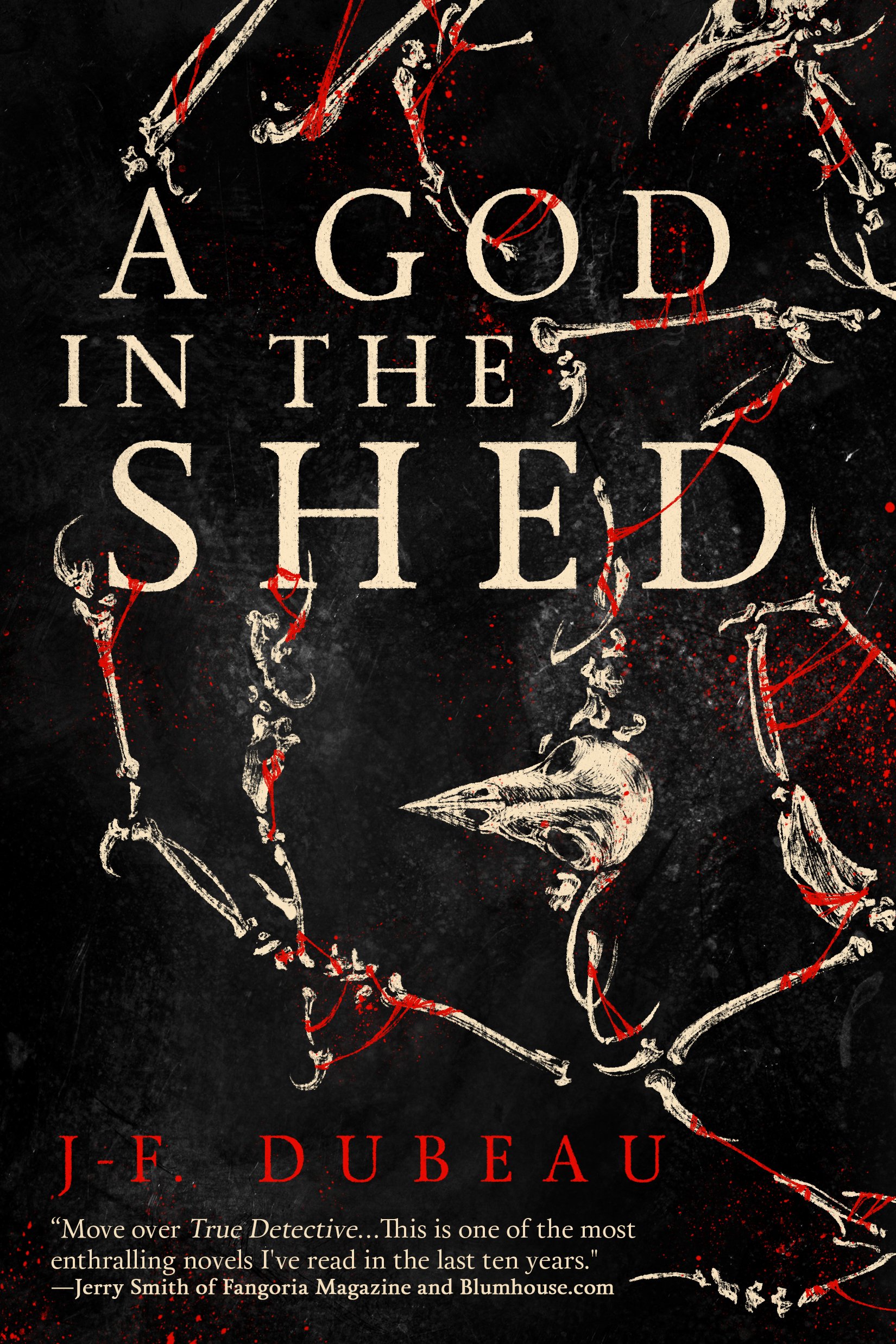 God in the Shed by J. F. Dubeau (2017, Trade Paperback)
