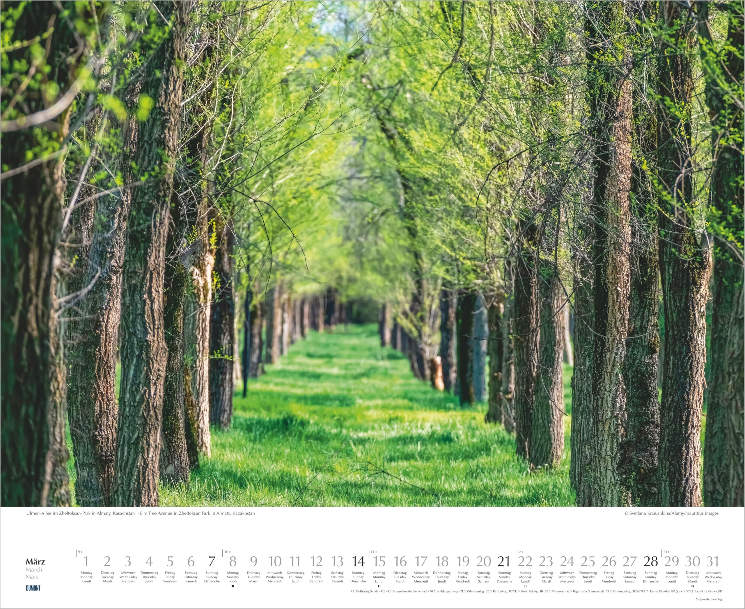Bäume-Alleen 2027: Wandkalender 52x42,5 cm mit 12 Naturfotografien und 3-sprachigem Kalendarium