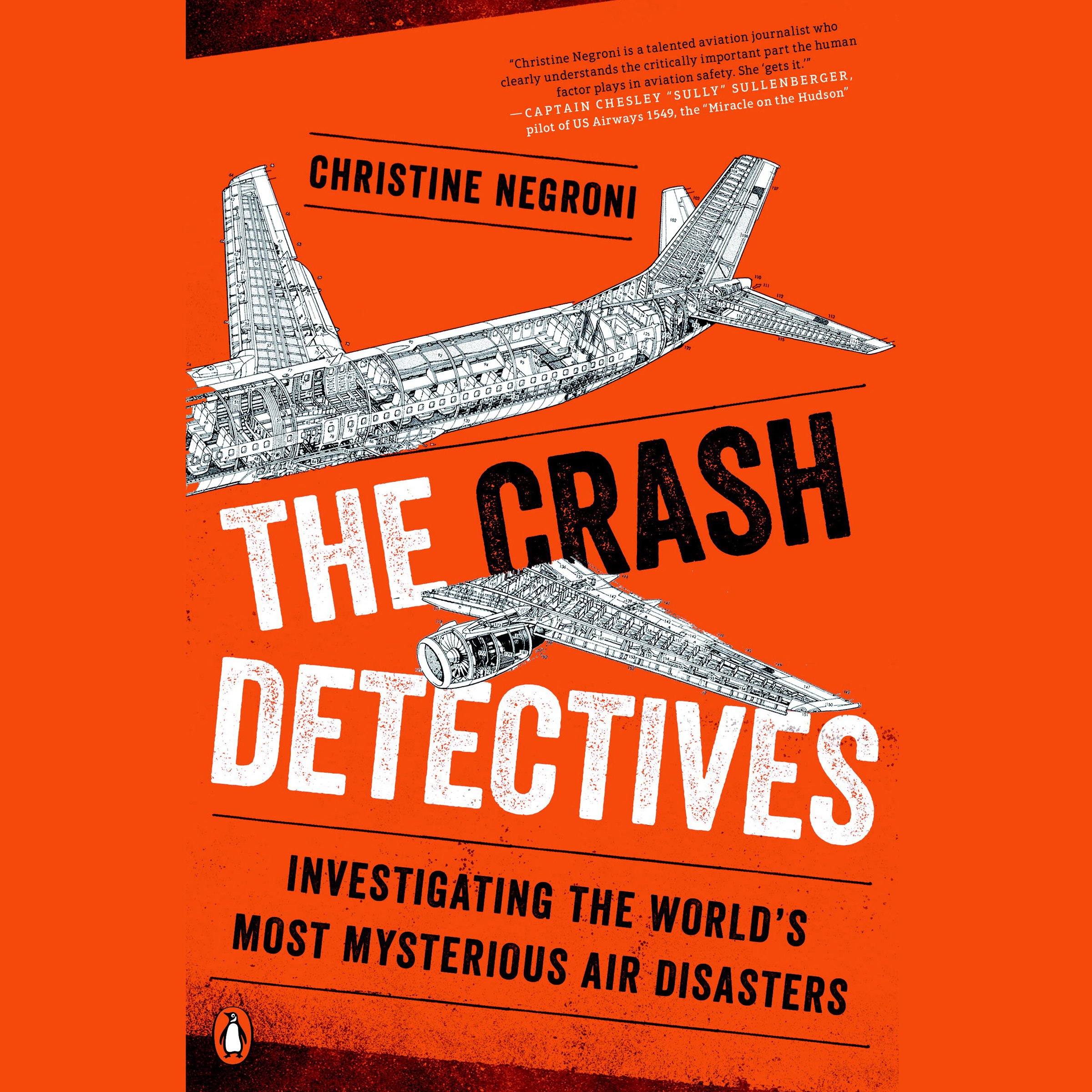Cover art for The Crash Detectives