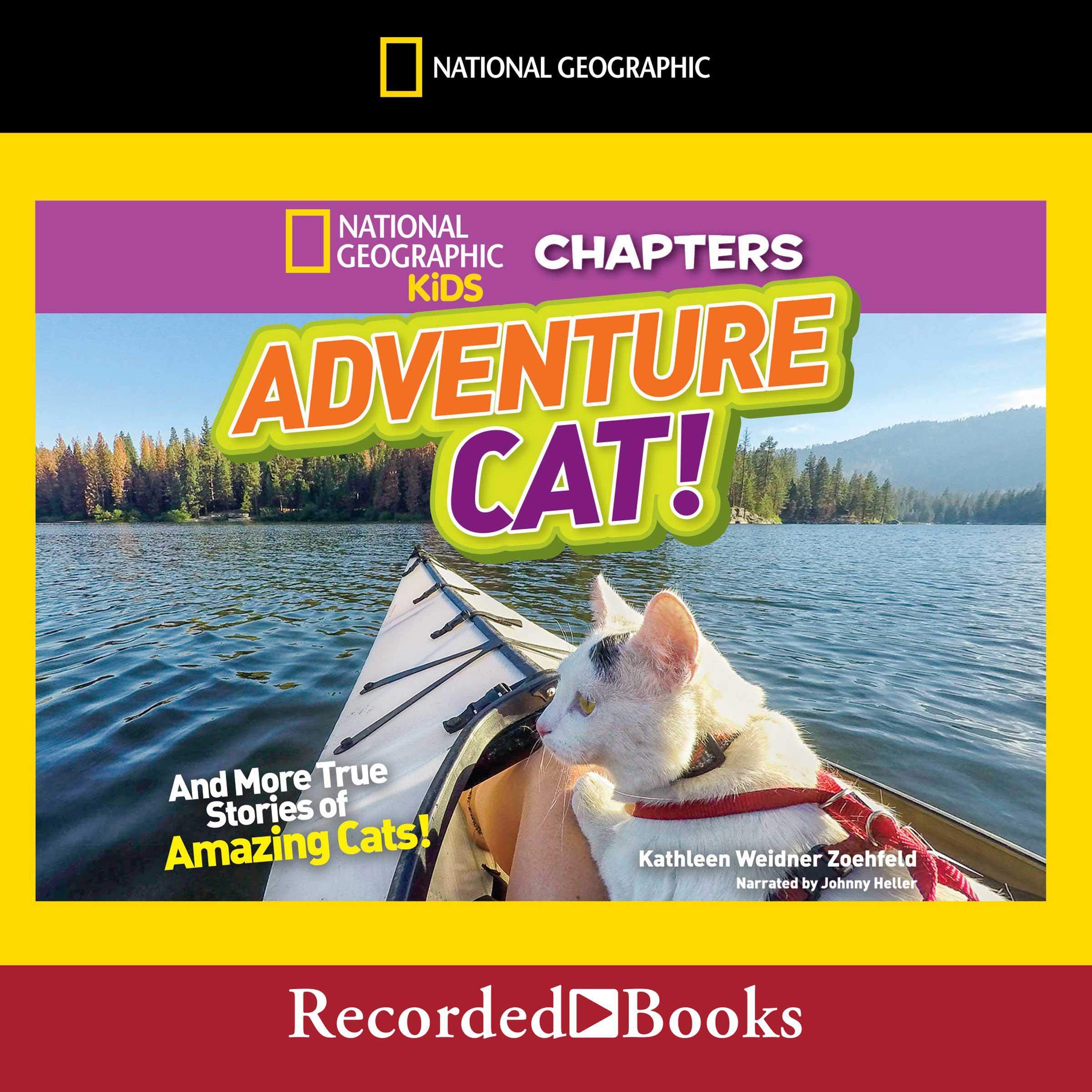 Cover art for National Geographic Kids Chapters: Adventure Cat!