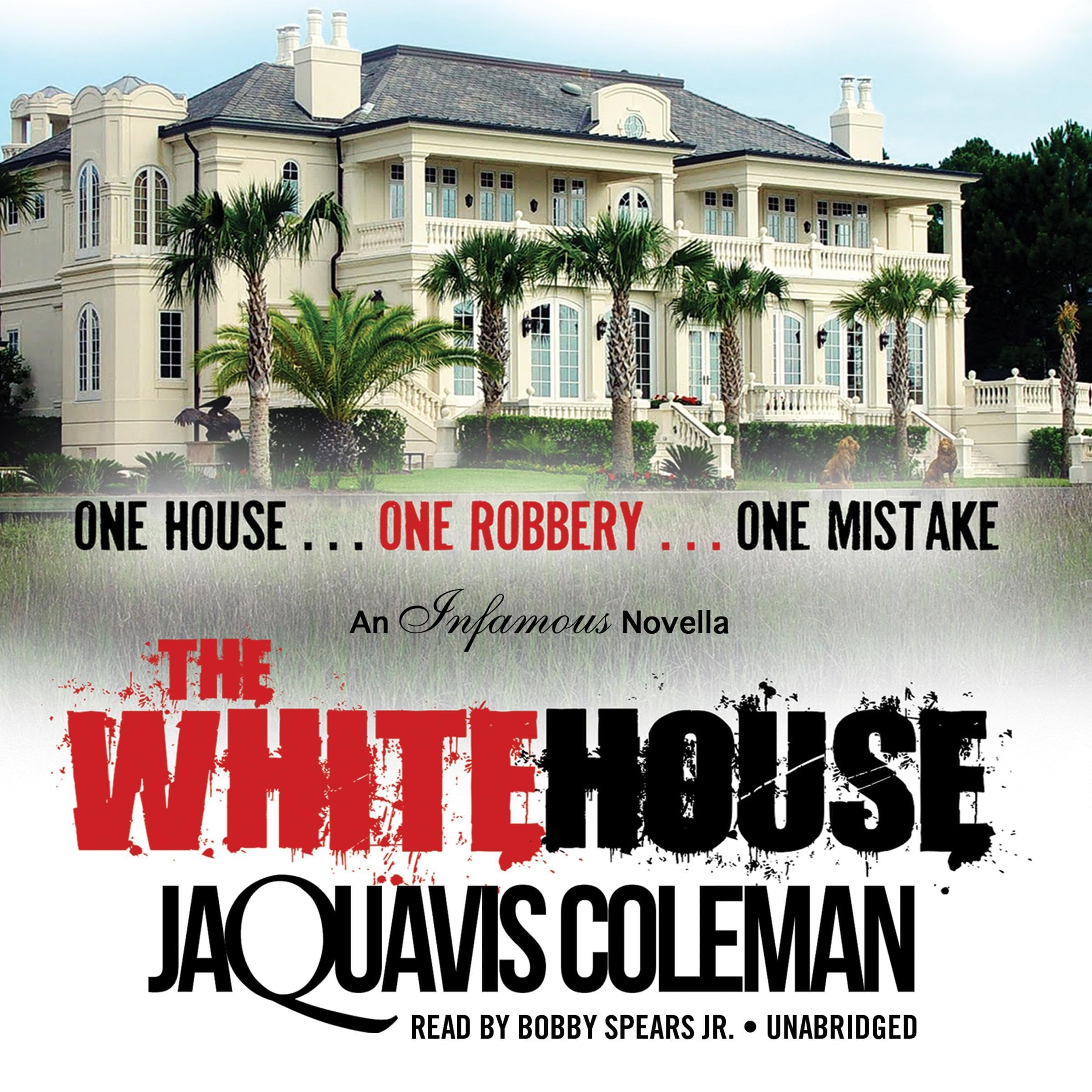 Cover art for The White House