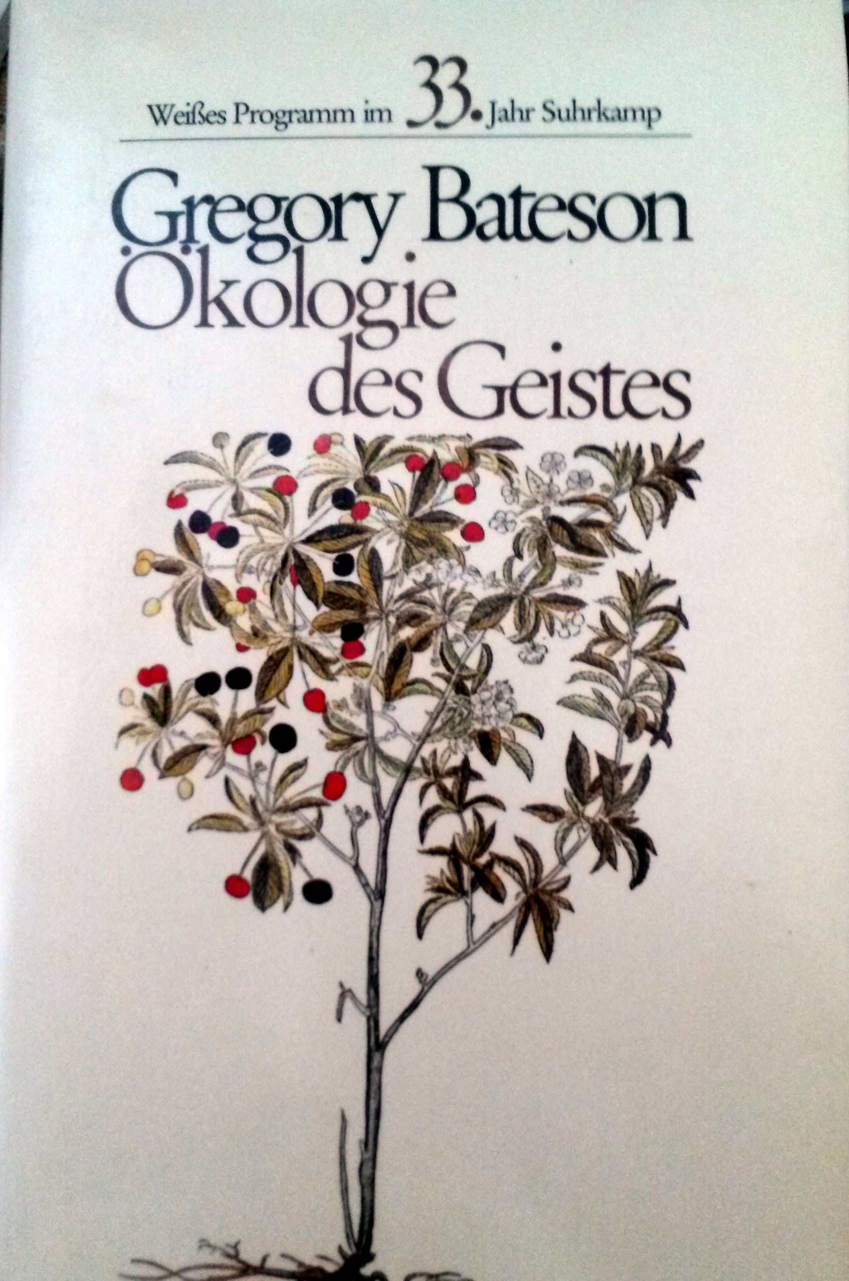 Ökologie des Geistes (Weißes Programm)