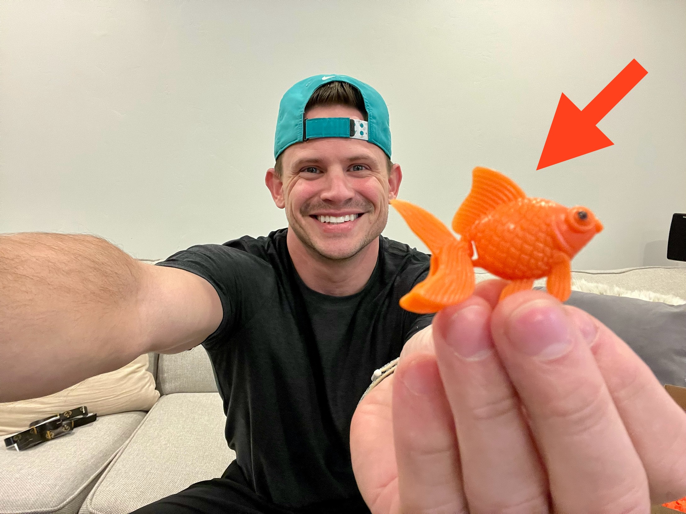 Watch Such Cute Little Fish! REVIEW & DEMO on Amazon Live