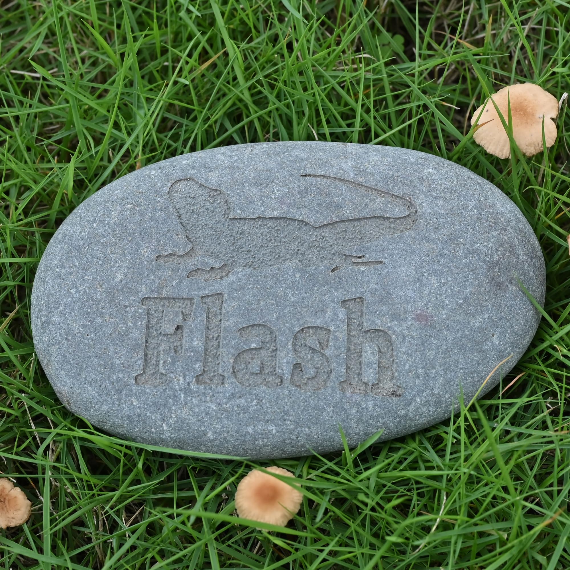 Lizard Memorial Stone River Rock | Lizard Lover Gift | Lizard Memorial | Lizard Headstone | Lizard Keepsake | Lizard Remembrance Gift | Bereavement Gift for Loss of Lizard