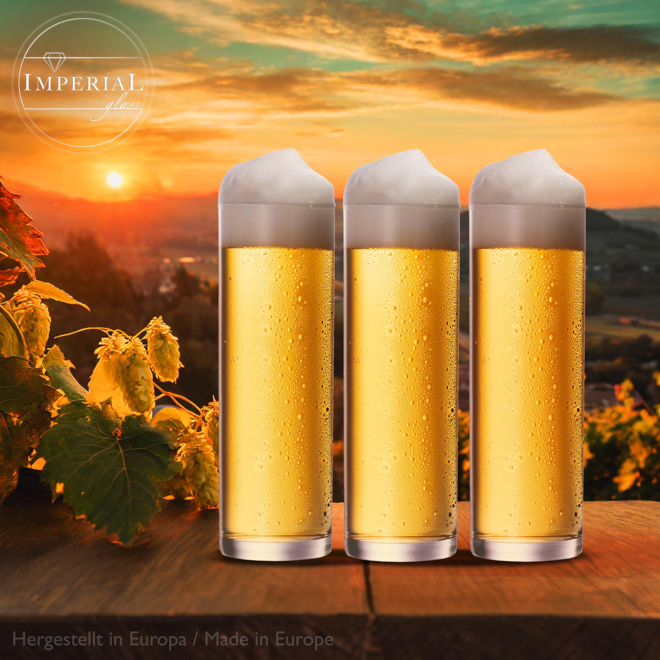 Imperial Lot de 12 verres à bière en verre 200 ml (max. 250 ml) Motif barres de bière 0,2 l Passe au lave-vaisselle
