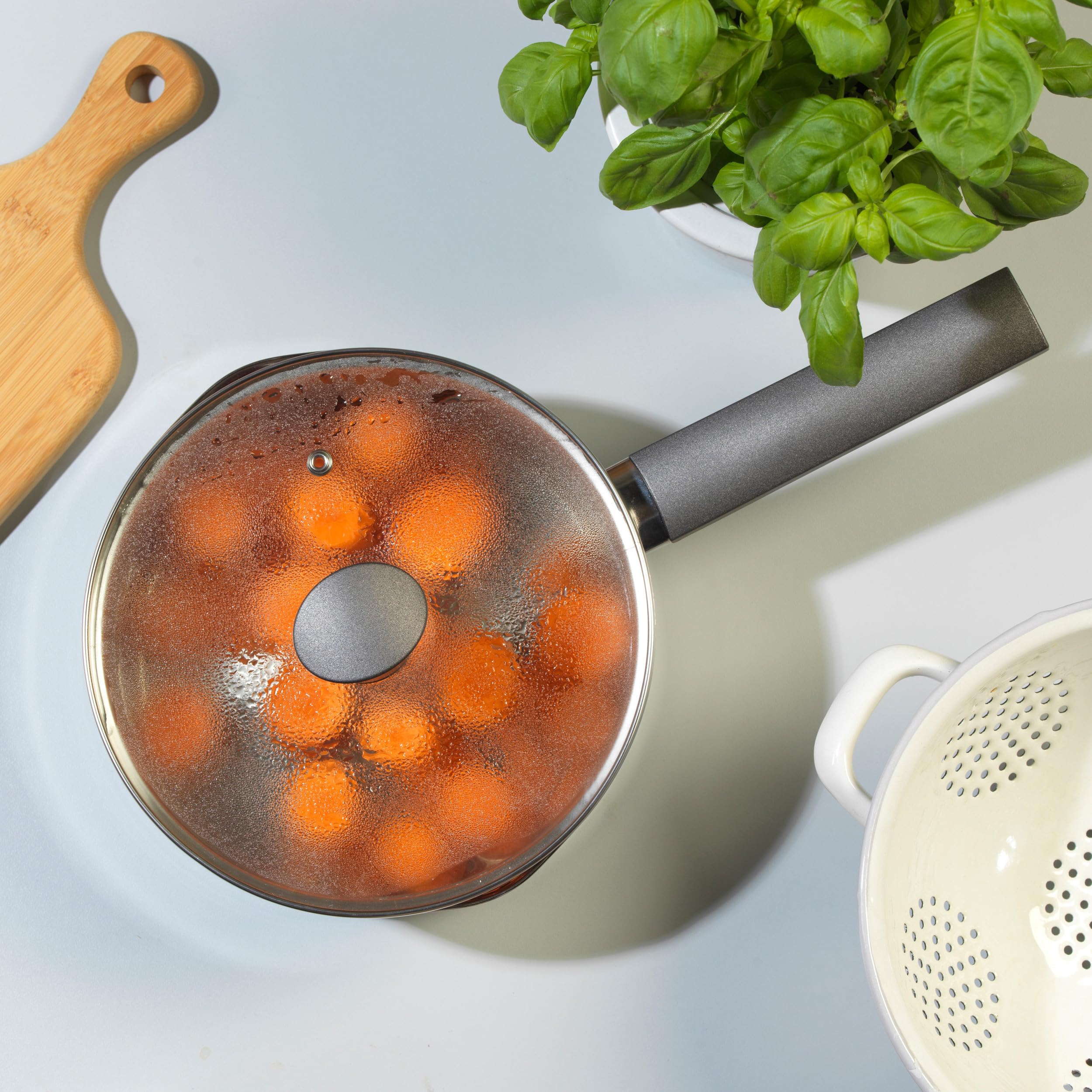Russell Hobbs RH01164EU Excellence Cazo Con Tapa - 20 cm, Hecho De Acero Inoxidable Y Acabado Con Pulido Espejo, Apto Para Placas De Inducción Y Lavavajillas, Tapa De Vidrio, Libre De PFOA