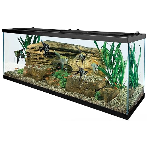 Tetra 55 Gallon Aquarium Kit with Fish Tank, Fish Net, Fish Food, Filter, Heater and Water Conditioners