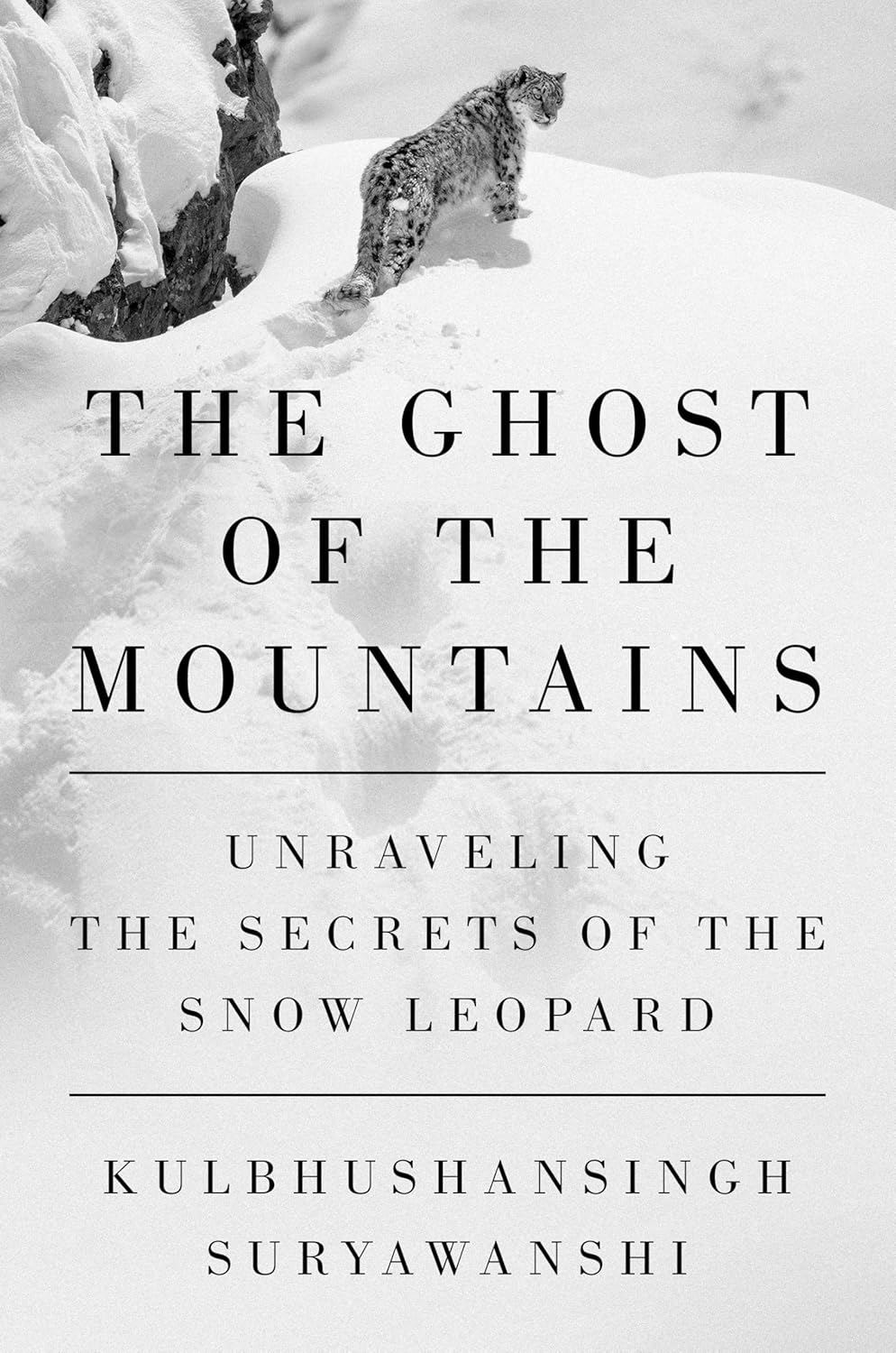 The Ghost of the Mountains: Unraveling the Secrets of the Snow Leopard      Hardcover – August 25, 2026