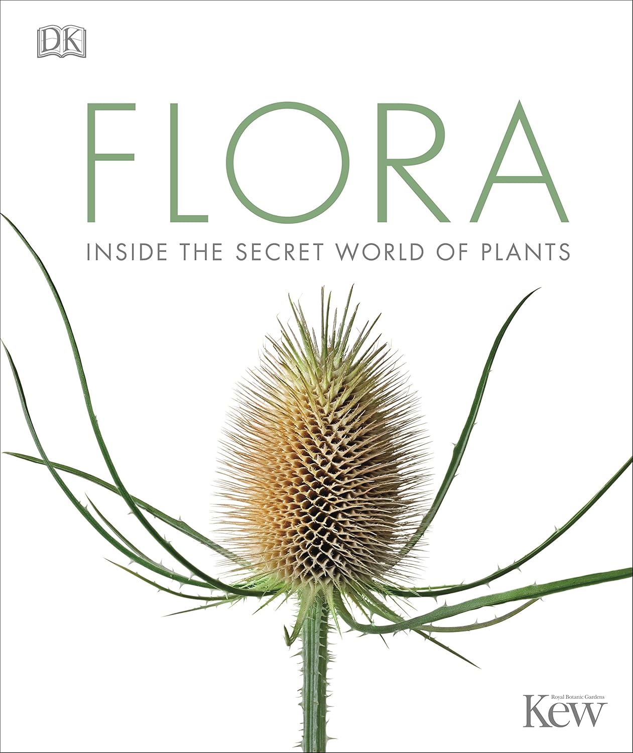 Flora The Definitive Visual Guide to the Plant Kingdom 9780241254806 Flora The Definitive Visual Guide to the Plant Kingdom 9780241254806