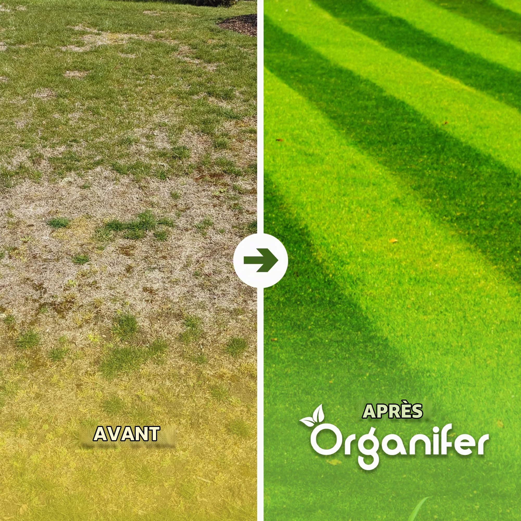 Top Dressing De Pelouse - 50L = 50m2