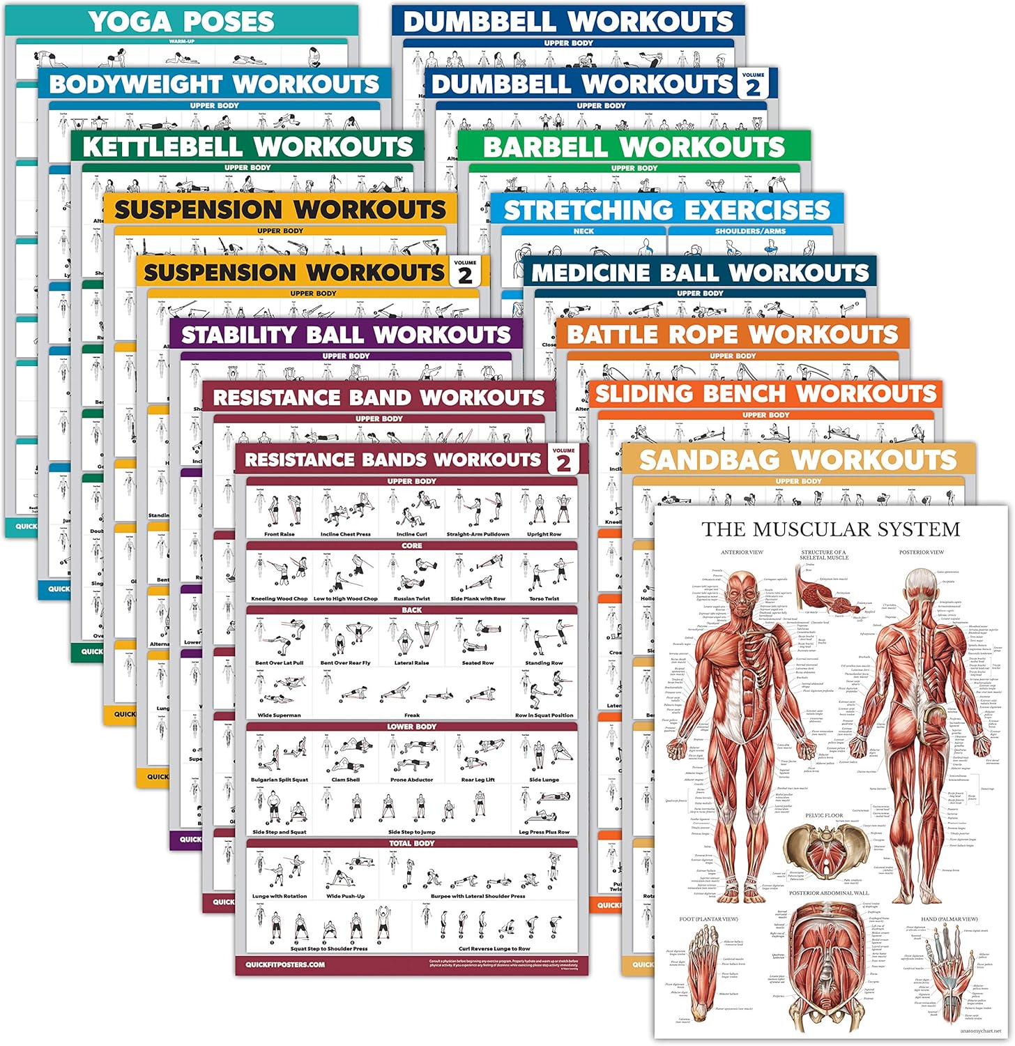 Palace Learning 17 Pack - Exercise Poster Set: Dumbbell, Suspension, Kettlebell, Muscular, Medicine Ball, Battle Rope, Resistance Bands, Stretching, Bodyweight, Barbell, Yoga and More LAMINATED 18" x 24"