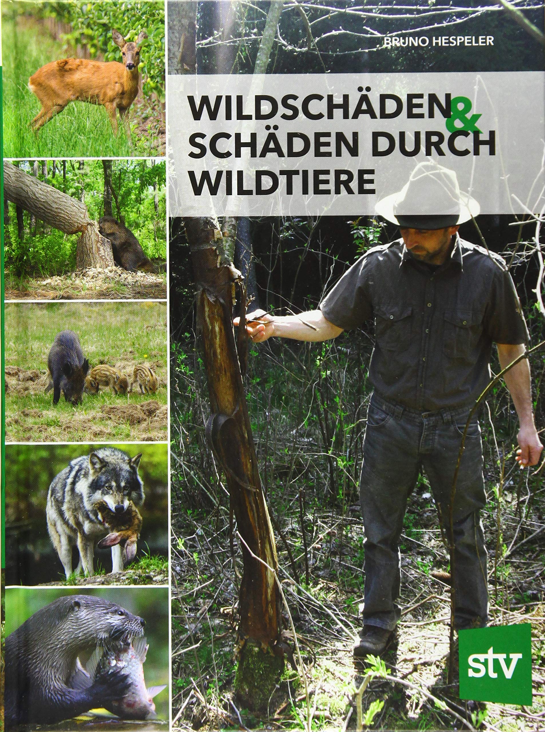 Stocker, L Wildschäden & Schäden Durch Wildtiere
