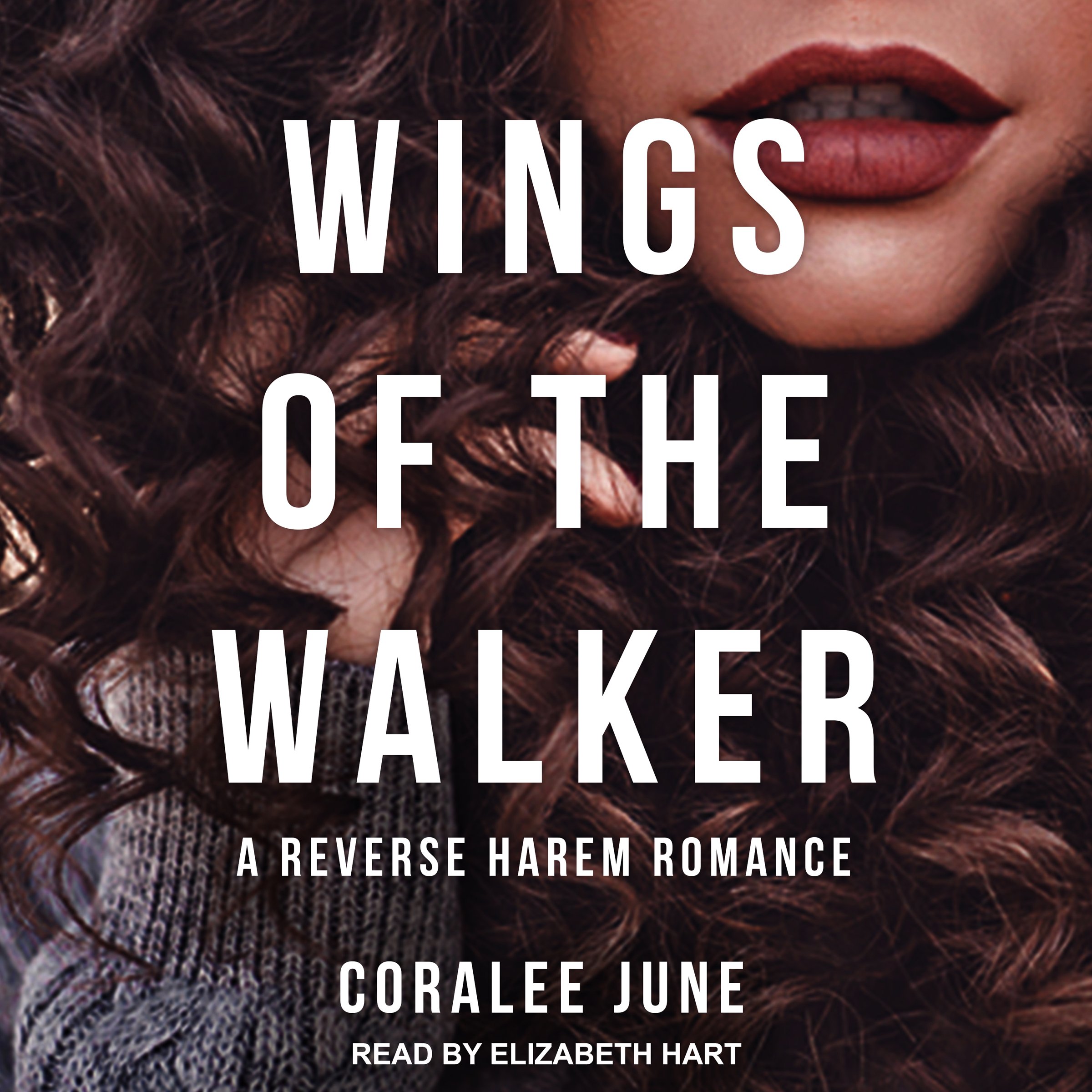 Cover art for Wings of the Walker