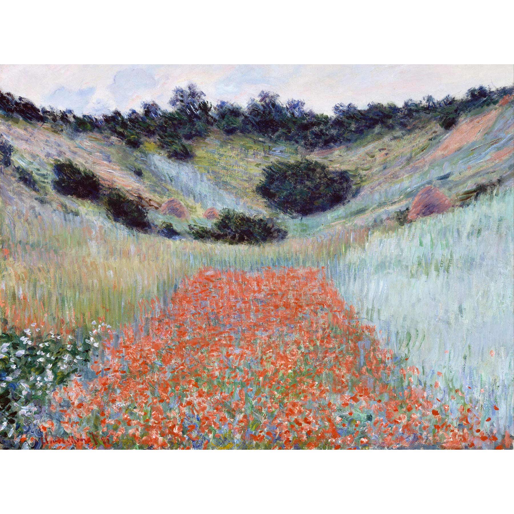 Claude Monet Poppy Field In A Hollow Near Giverny Large Wall Art Print Canvas Premium Poster Mural