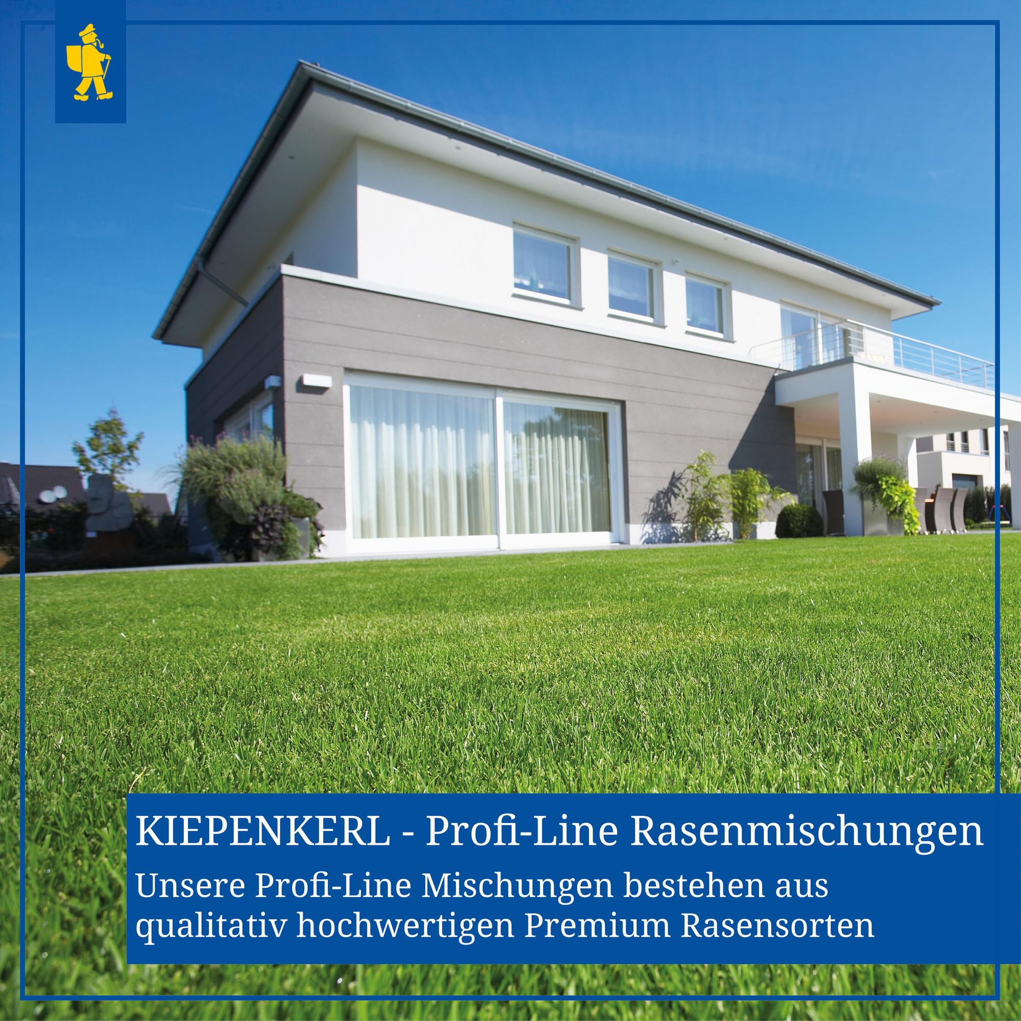 Kiepenkerl Profi-Line Gemüsesamen Kirsch-Tomate Vilma (Solanum