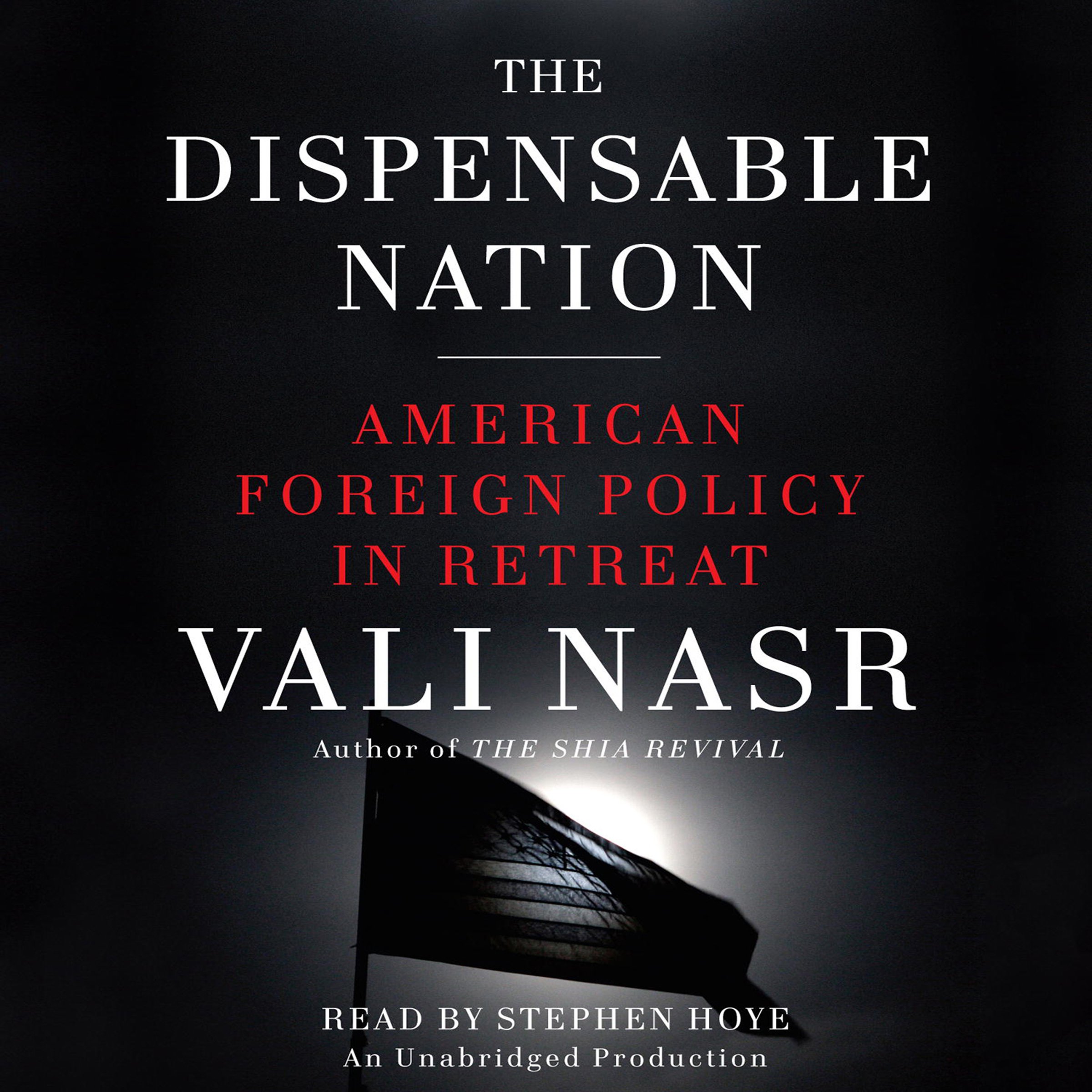 Cover art for The Dispensable Nation