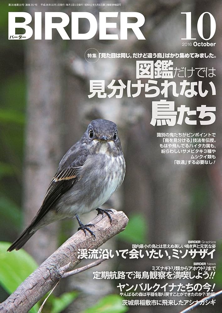 Amazon.co.jp: BIRDER (バーダー) 2016年 10月号 [雑誌] eBook