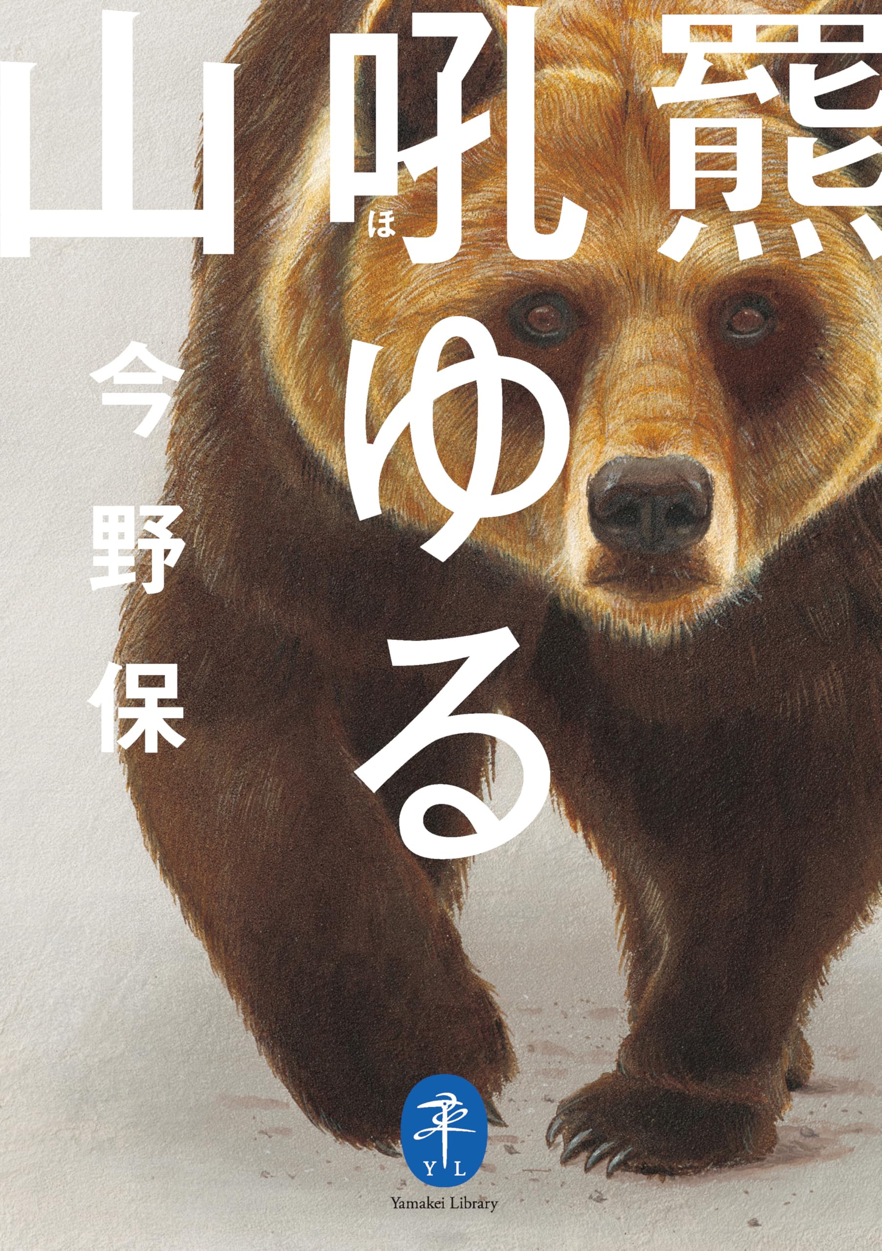 ヒグマ後ろ足、オス、幅14cm、長さ32cm冷凍品（クール便発送） アイスマンPRO-X Ⅲ リッチ｜山真製鋸株式会社（Y'sGOD Japan）｜総合