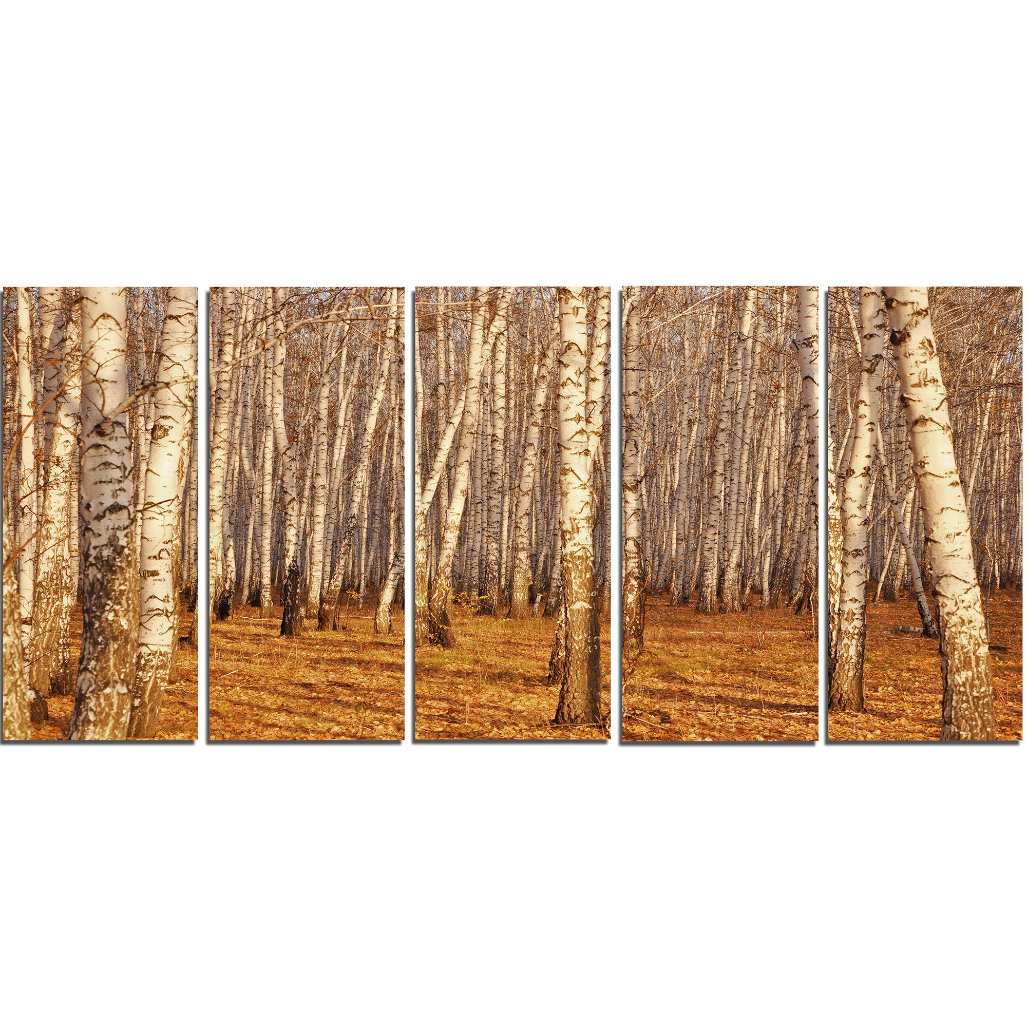 Designart PT13995-60-28-5PE Dense Birch Fall-Large Forest Canvas Art, 28'' H x 60'' W x 1'' D 5PE