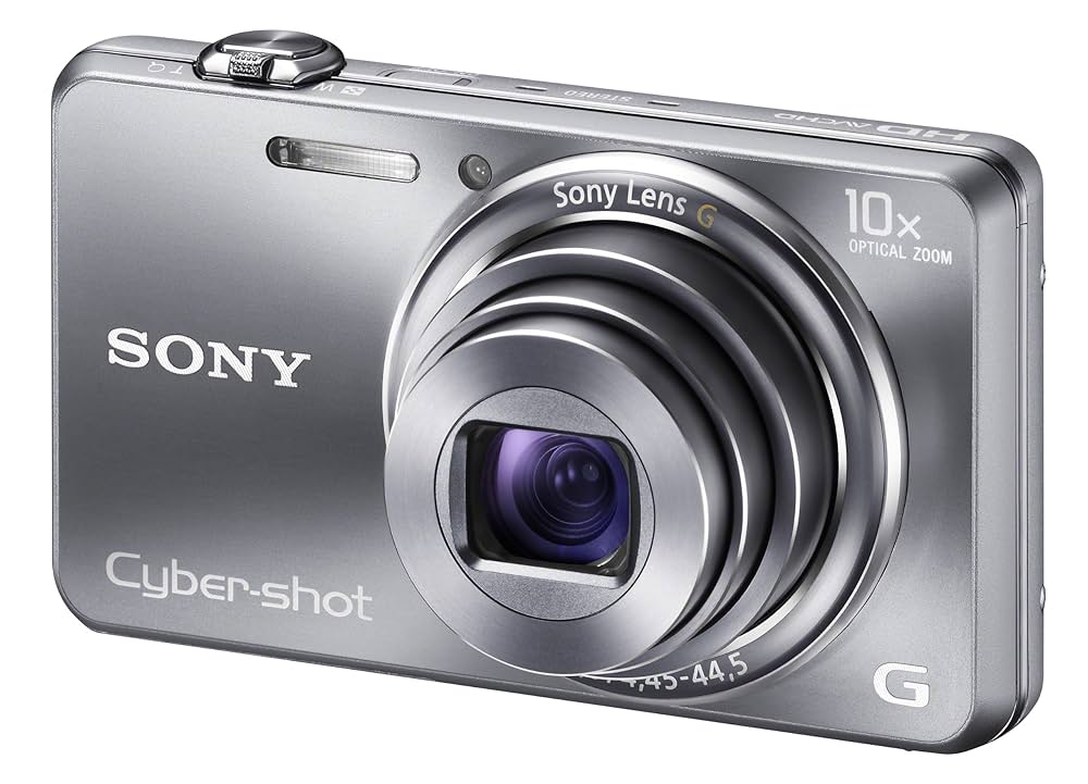 SONY CYBER-SHOT DSC-WX100 充電器付　シルバー DSC-WX100 | デジタルスチルカメラ Cyber-shot サイバーショット