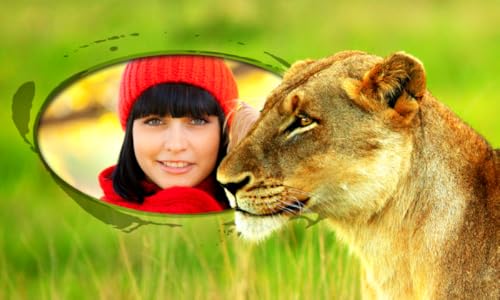 Animal Photo Frames