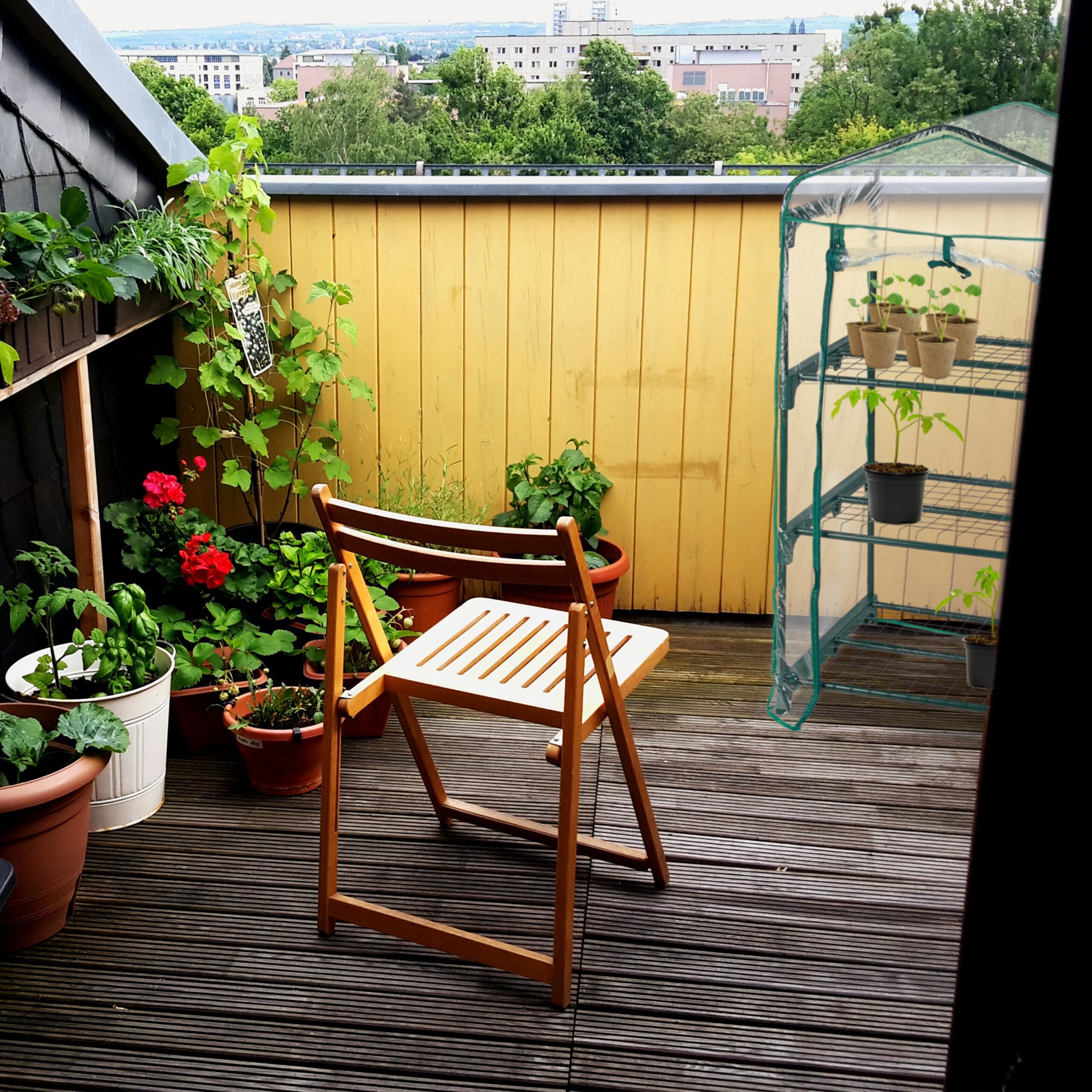 Relaxdays Serra per Il Balcone, a 3 Piani, HLP: 122x64x45 cm, in Acciaio e Telo in PVC Giardinaggio, Trasparente Verde