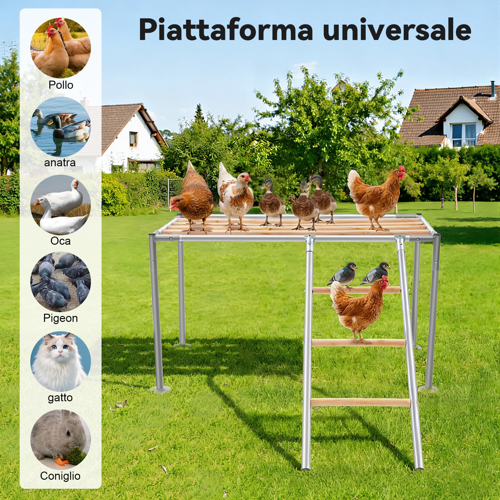 Asta per pollaio, accessorio per pollaio con scala e piattaforma di riposo, torre da arrampicata per 10 polli adulti, case di pollo, allevamento casalinghe, giocattoli per l'habitat